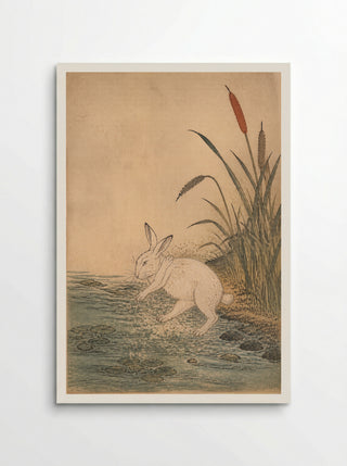 The White Hare of Inaba: Cattails at Cape Keta