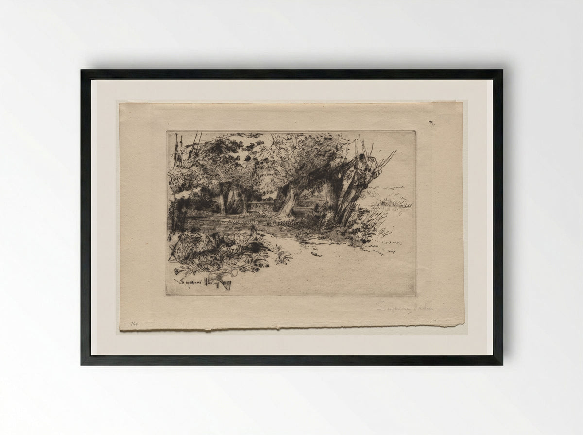 The Willows - Francis Seymour Haden - Framed Print Black