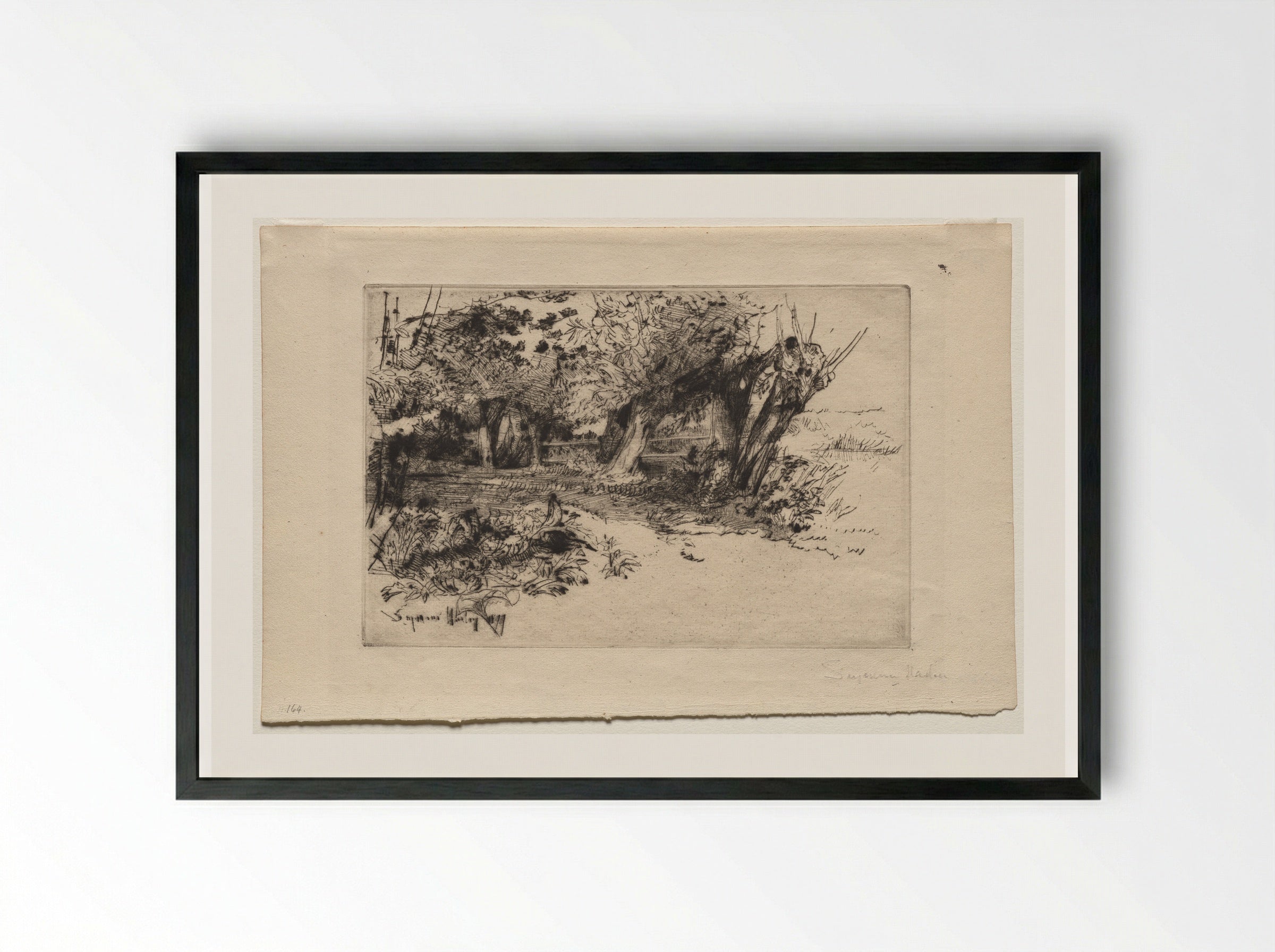 The Willows - Francis Seymour Haden - Framed Print Black