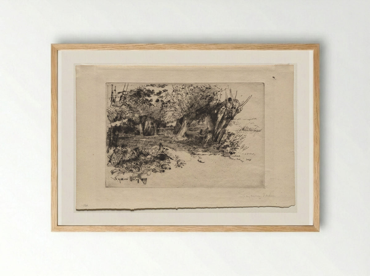 The Willows - Francis Seymour Haden - Framed Print Wood