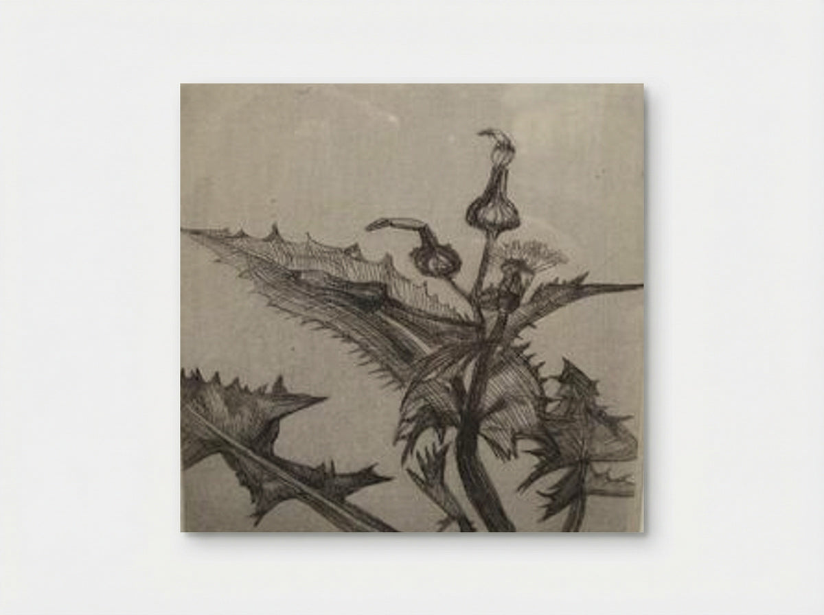 Thistle - Lucian Freud - Poster