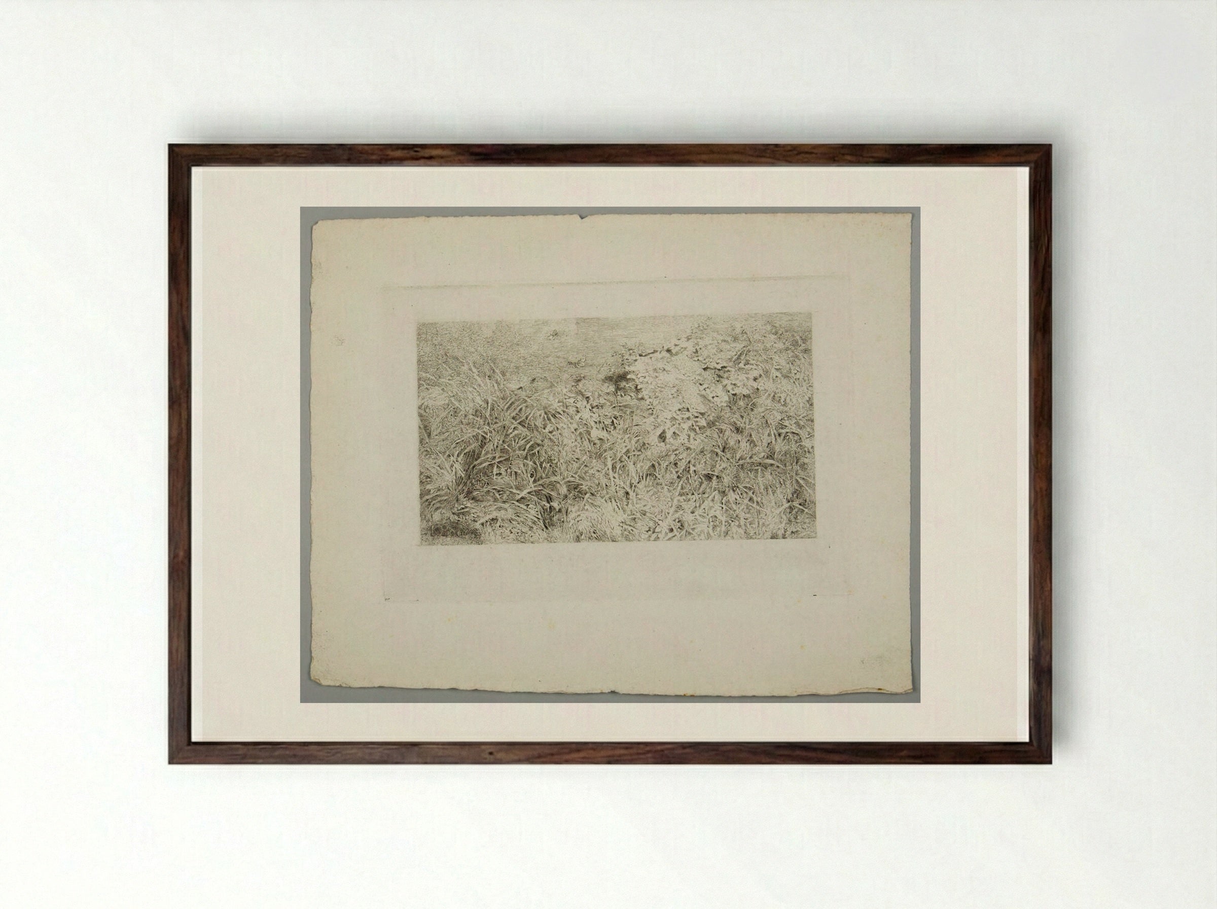 Thistles and Other Weeds - Karl Bodmer - Framed Print Dark Wood