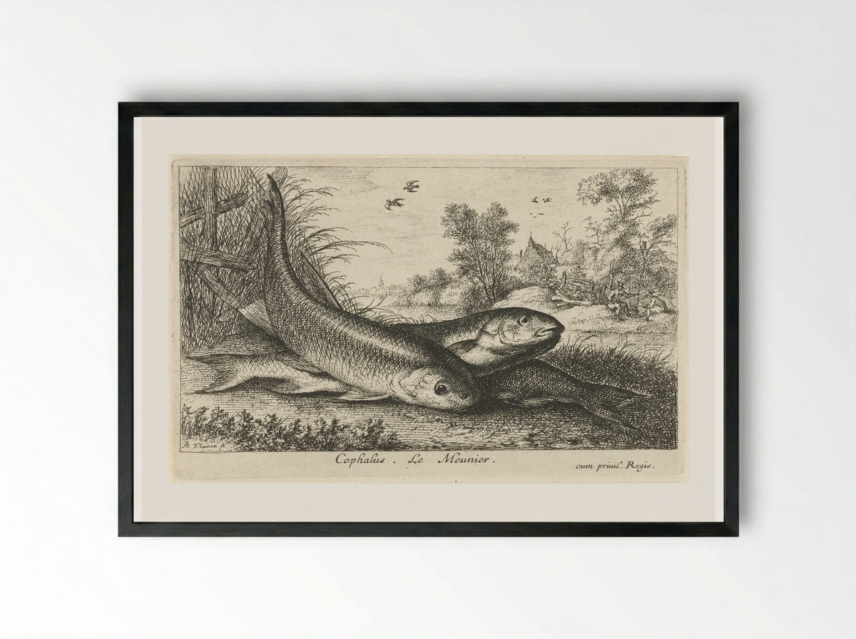 Three Chub on a Riverbank - Albert Flamen - Framed Print Black