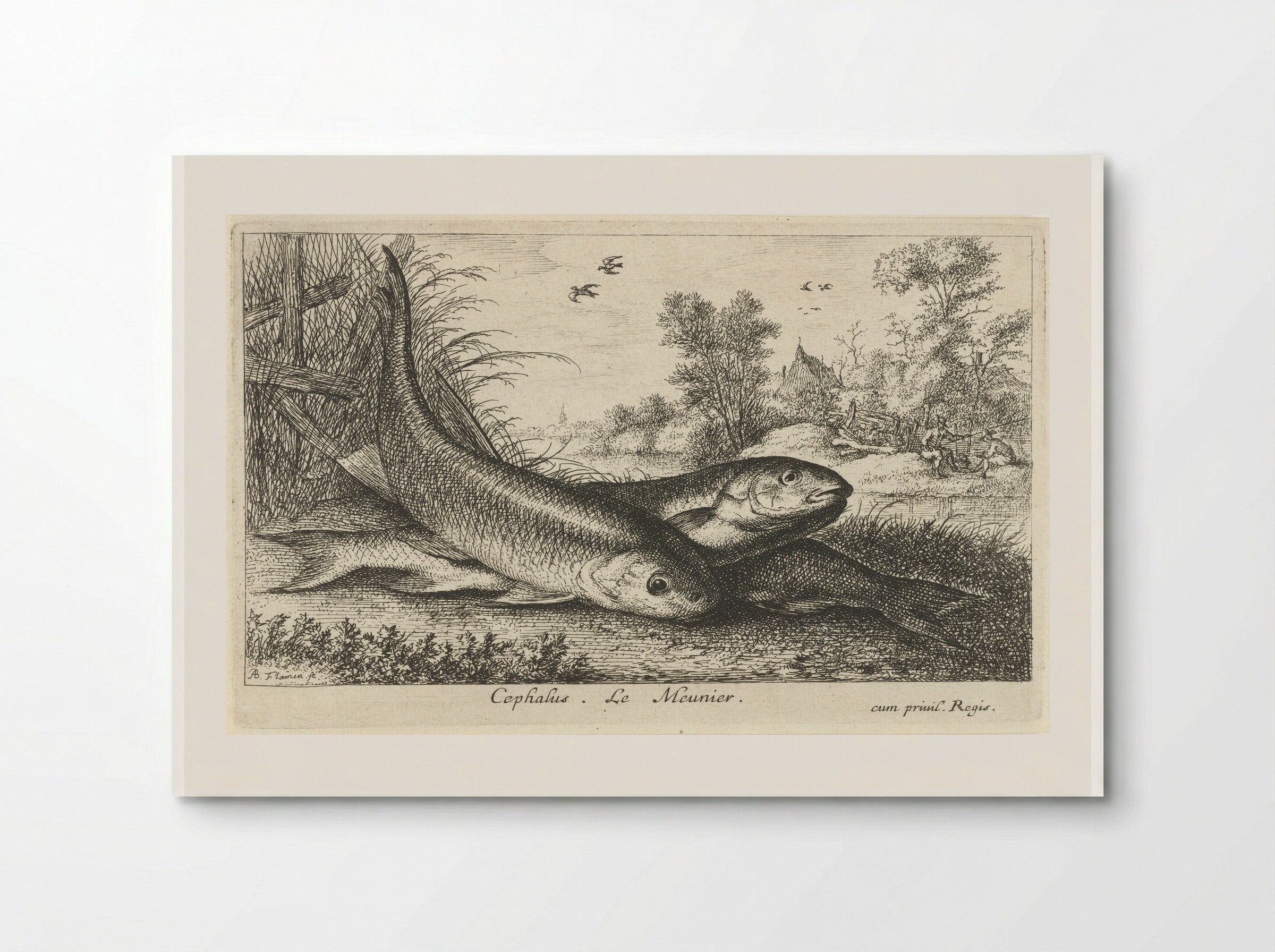 Three Chub on a Riverbank - Albert Flamen - Poster