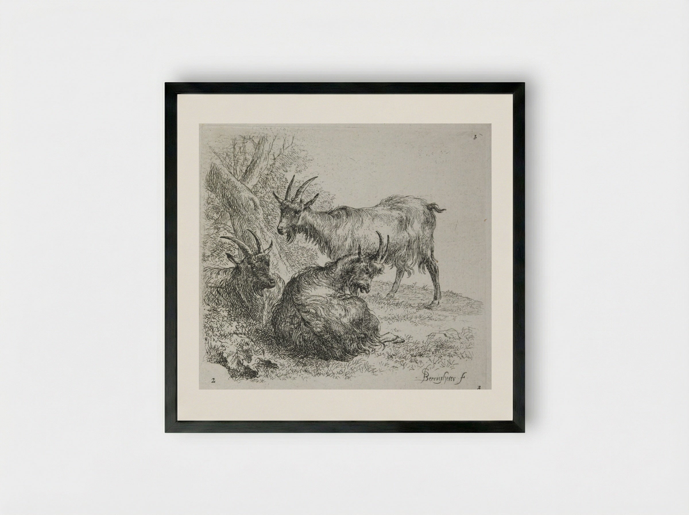 Three Goats Lying Near a Tree - Nicolaes Berchem - Framed Print Black