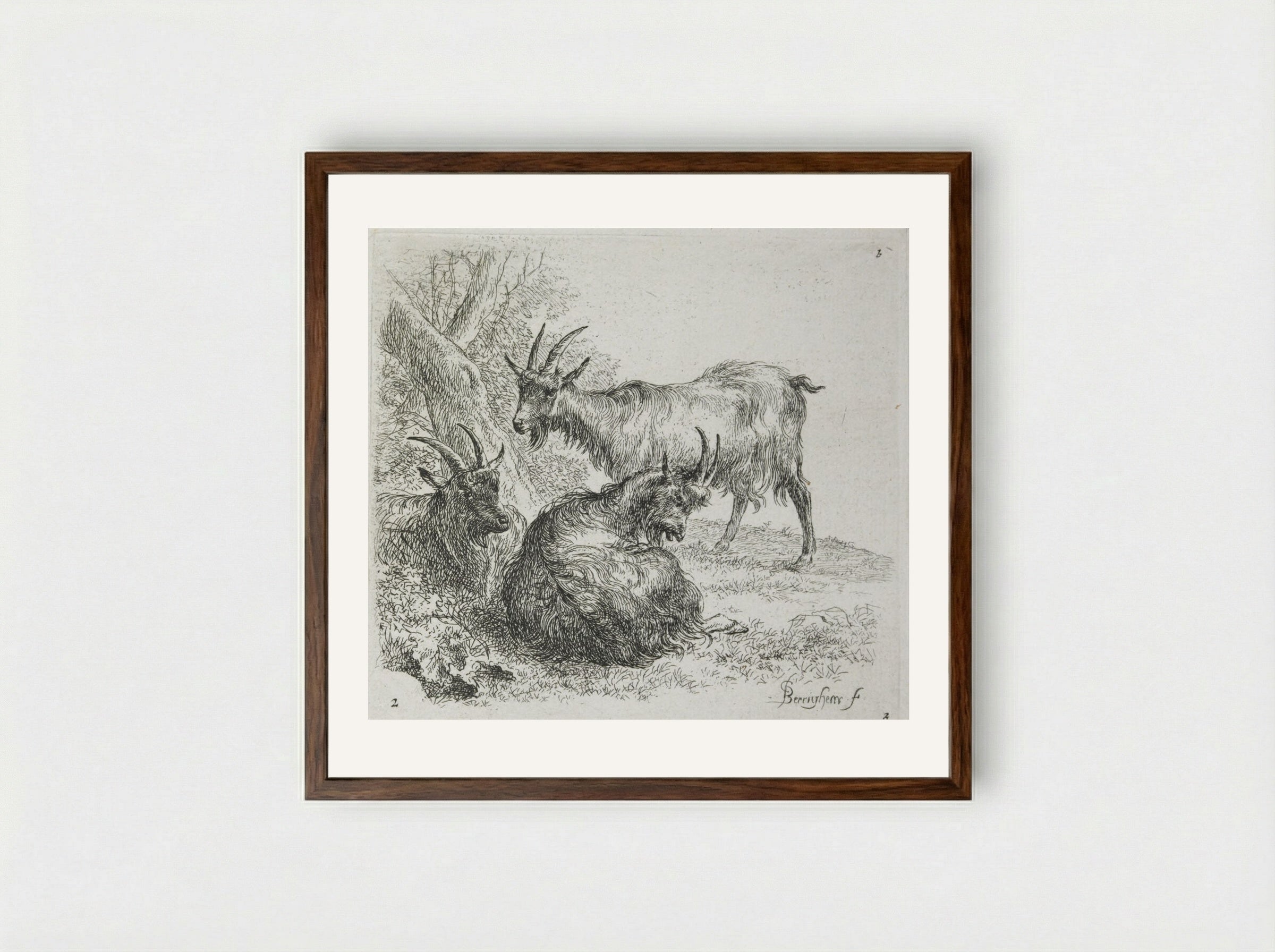 Three Goats Lying Near a Tree - Nicolaes Berchem - Framed Print Dark Wood
