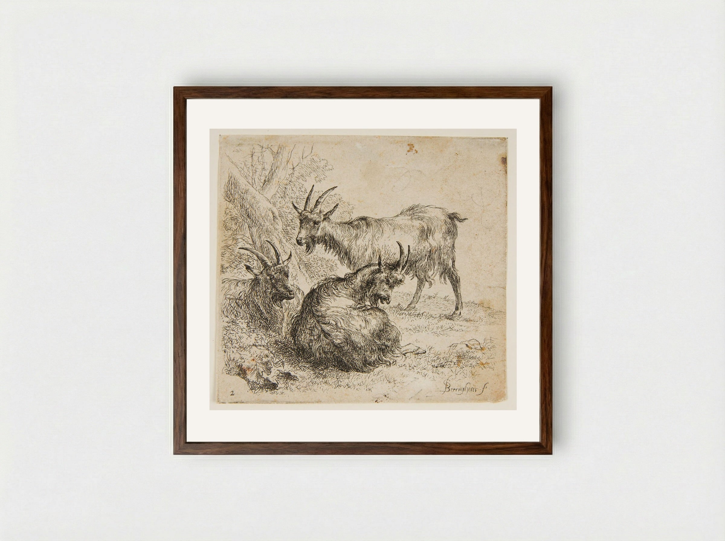 Three Goats Under a Tree - Nicolaes Berchem - Framed Print Dark Wood