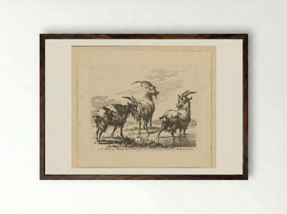 Three Goats by a Stream - François Vivares - Framed Print Dark Wood
