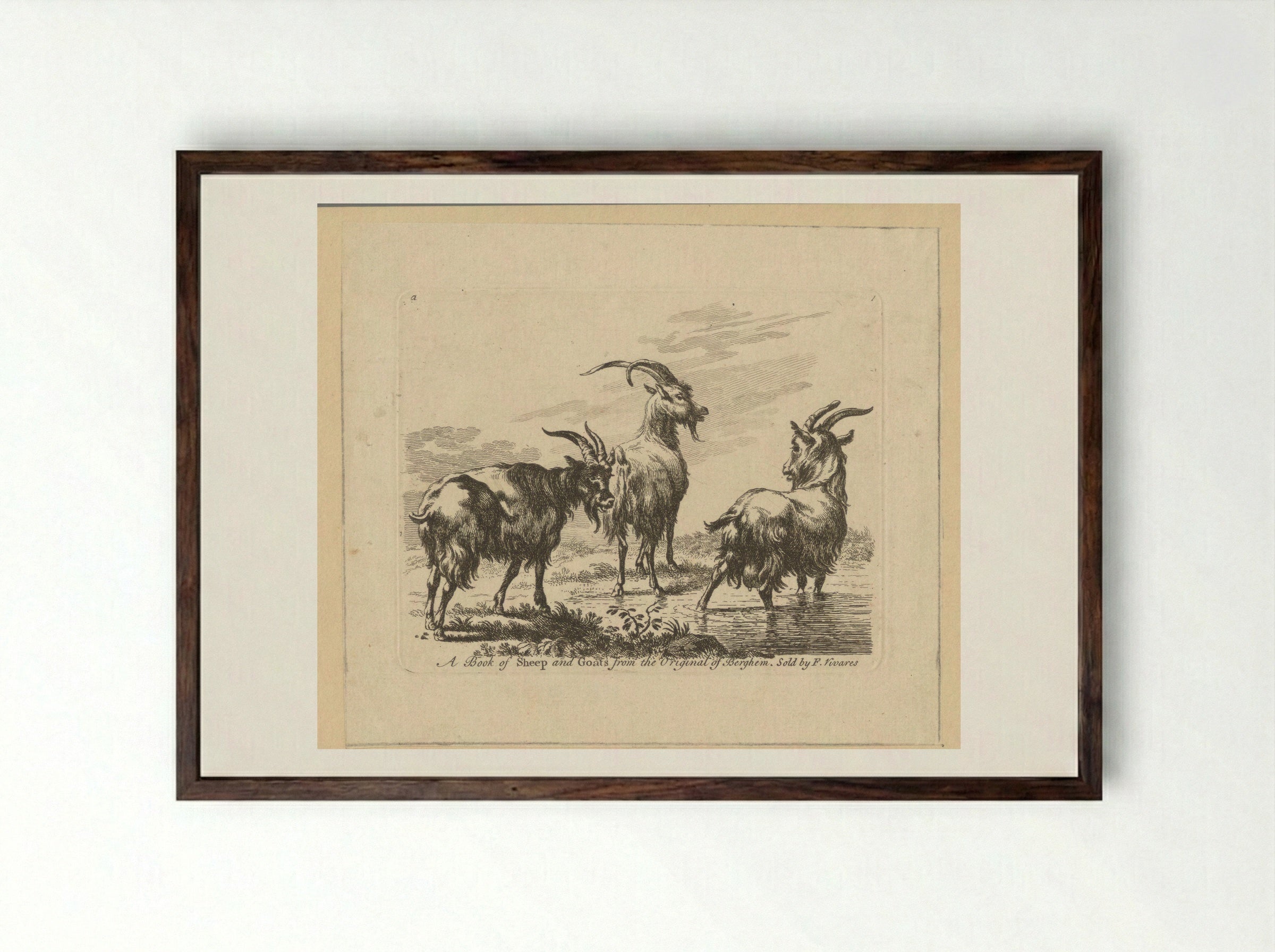 Three Goats by a Stream - François Vivares - Framed Print Dark Wood