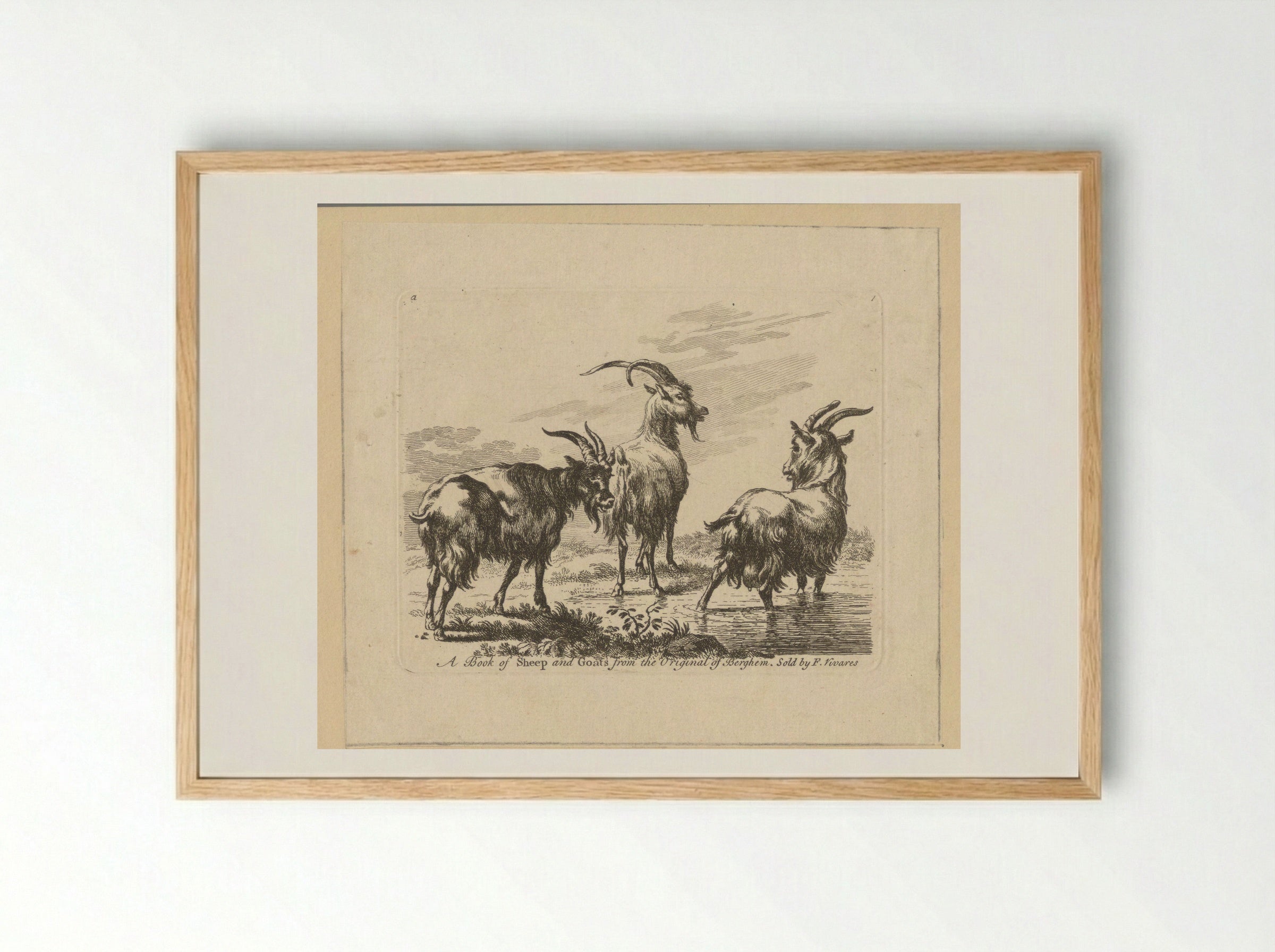 Three Goats by a Stream - François Vivares - Framed Print Wood