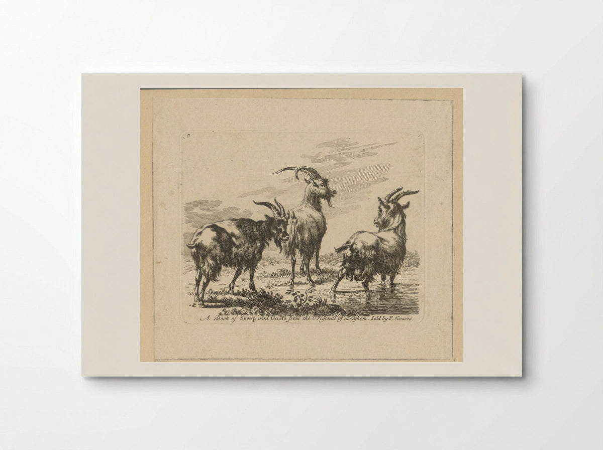 Three Goats by a Stream - François Vivares - Poster