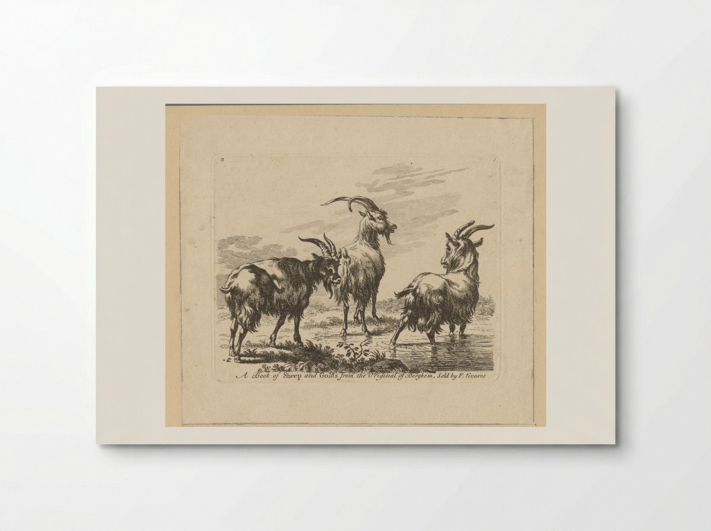 Three Goats by a Stream - François Vivares - Poster