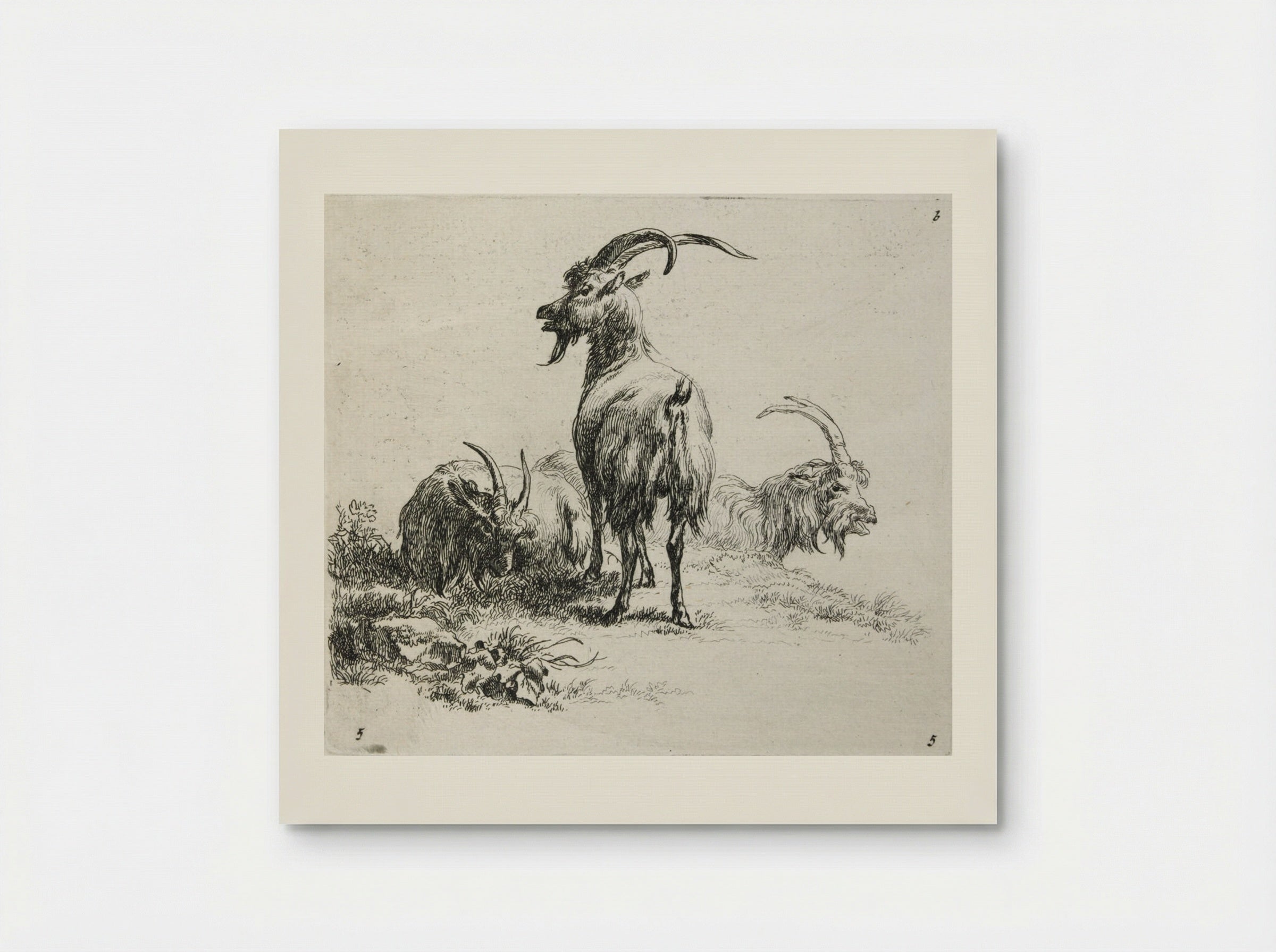 Three Goats - Nicolaes Berchem - Poster