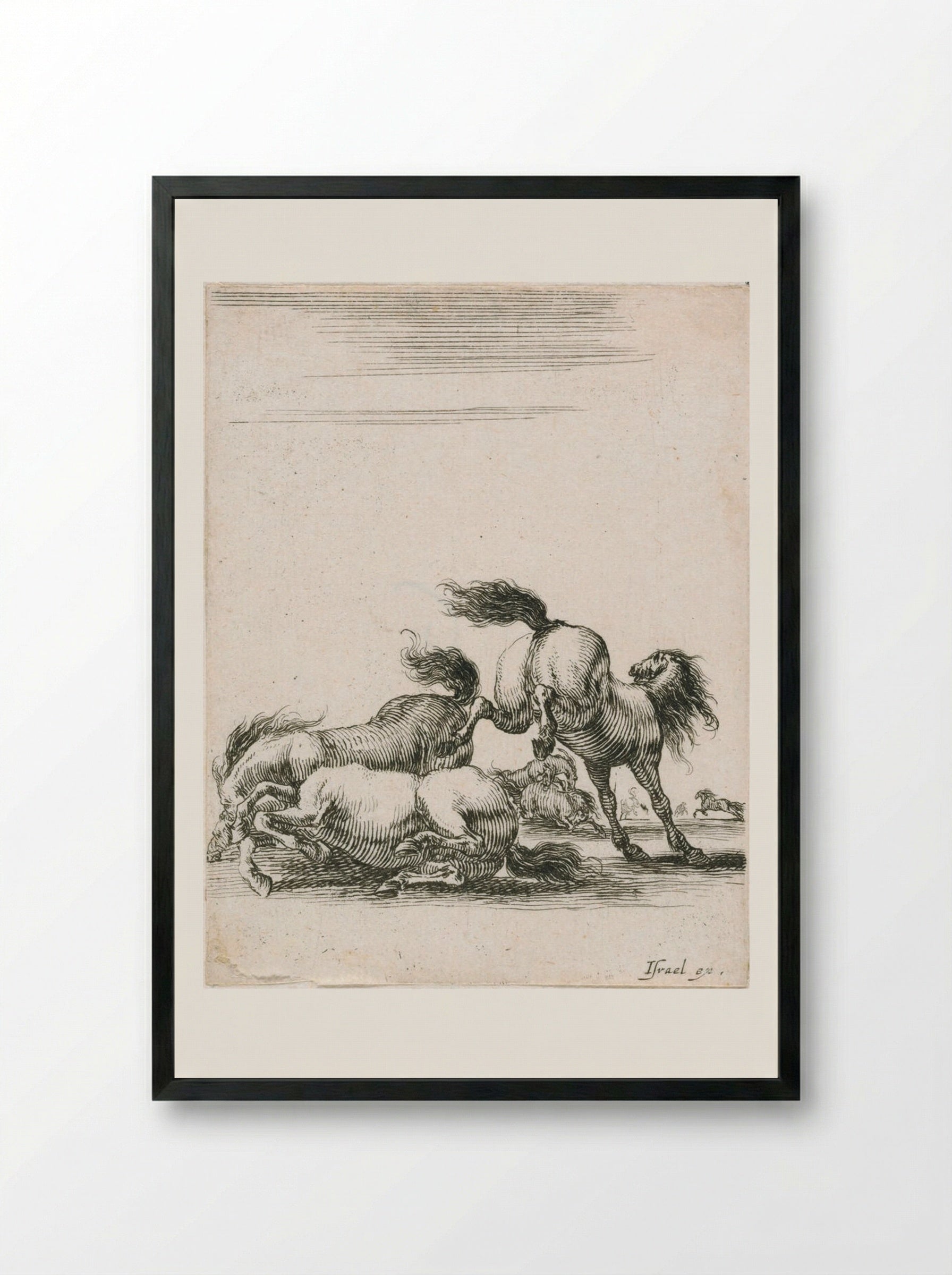 Three Horses Fighting - Stefano Della Bella - Framed Print Black