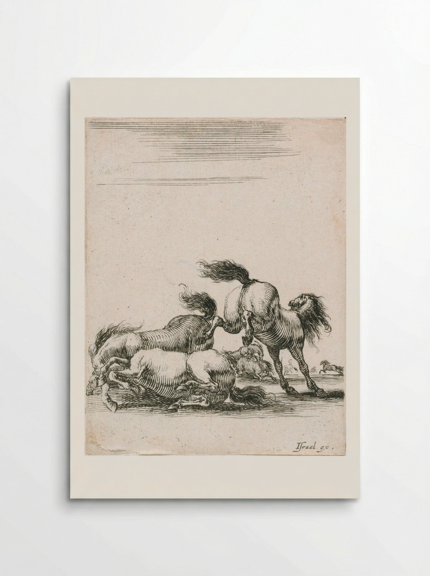 Three Horses Fighting - Stefano Della Bella - Poster