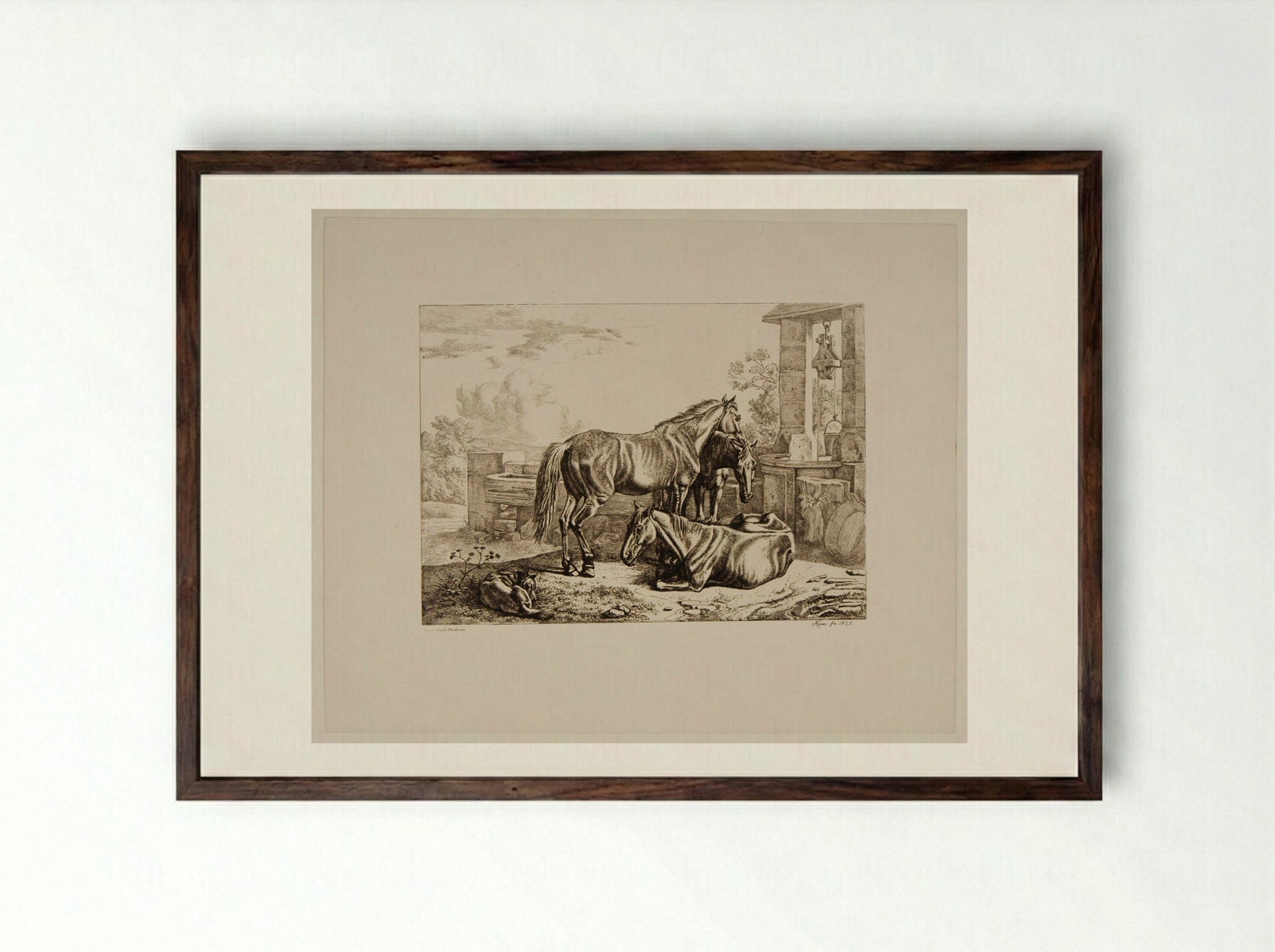 Three Horses - Johann Adam Klein - Framed Print Dark Wood