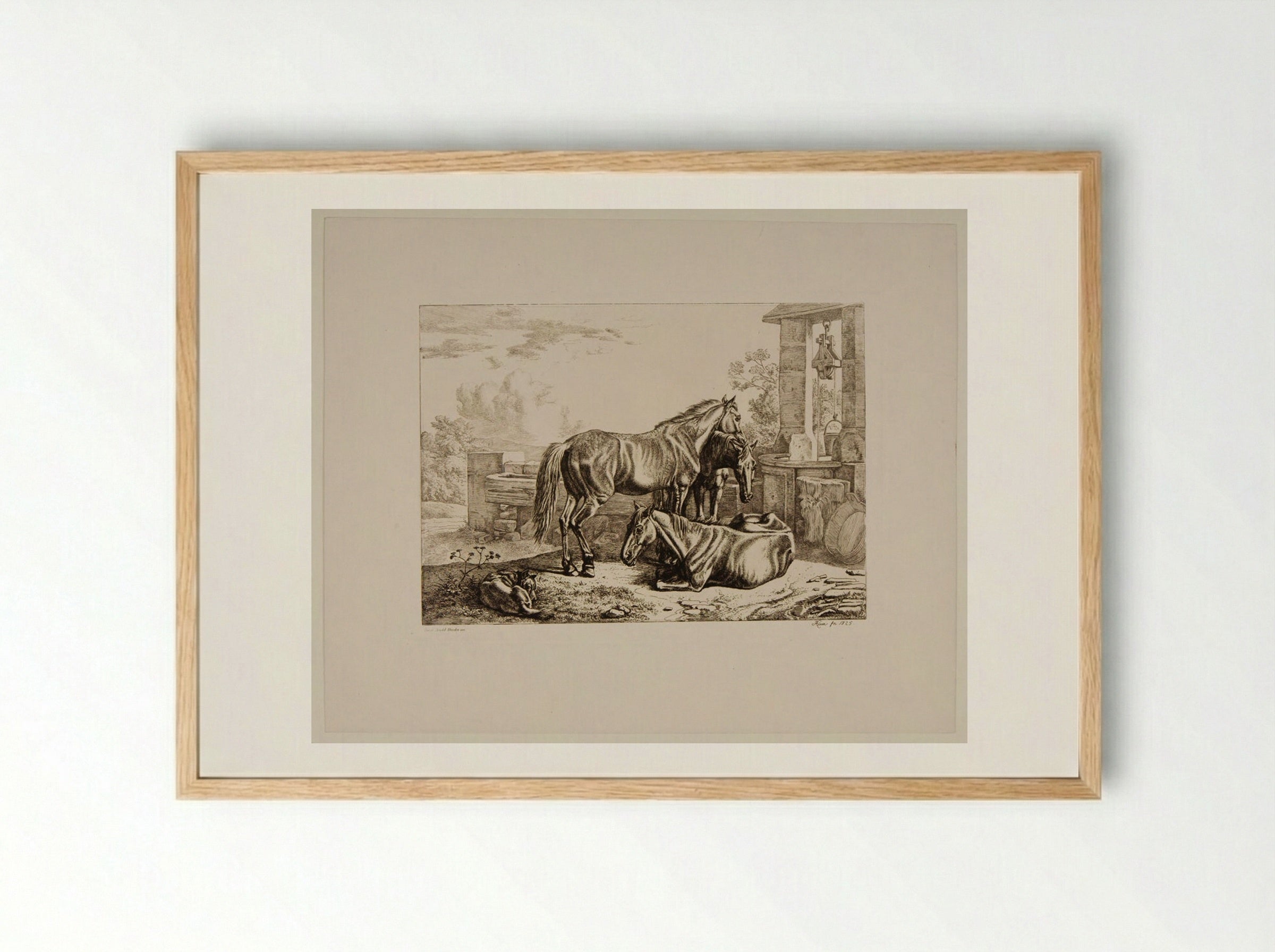 Three Horses - Johann Adam Klein - Framed Print Wood