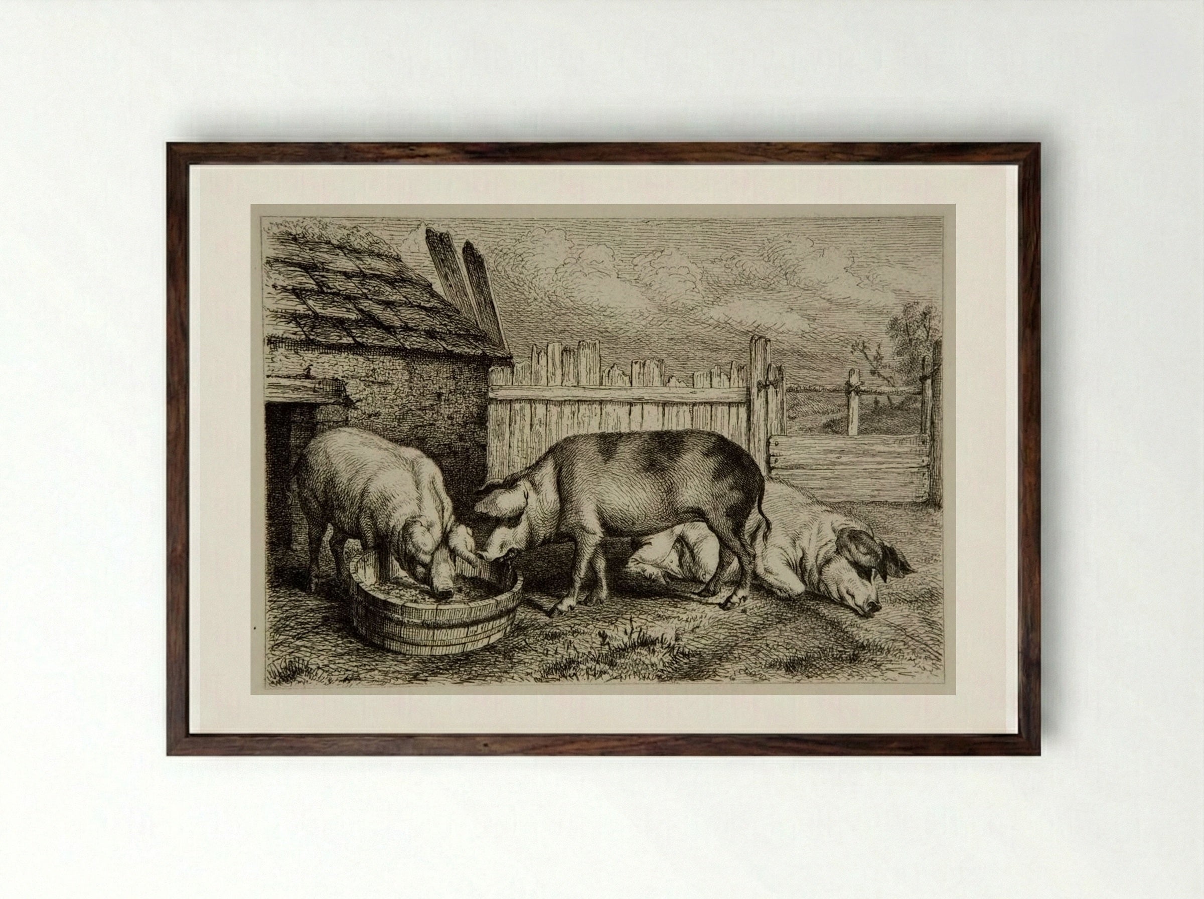 Three Pigs - Karl Bodmer - Framed Print Dark Wood