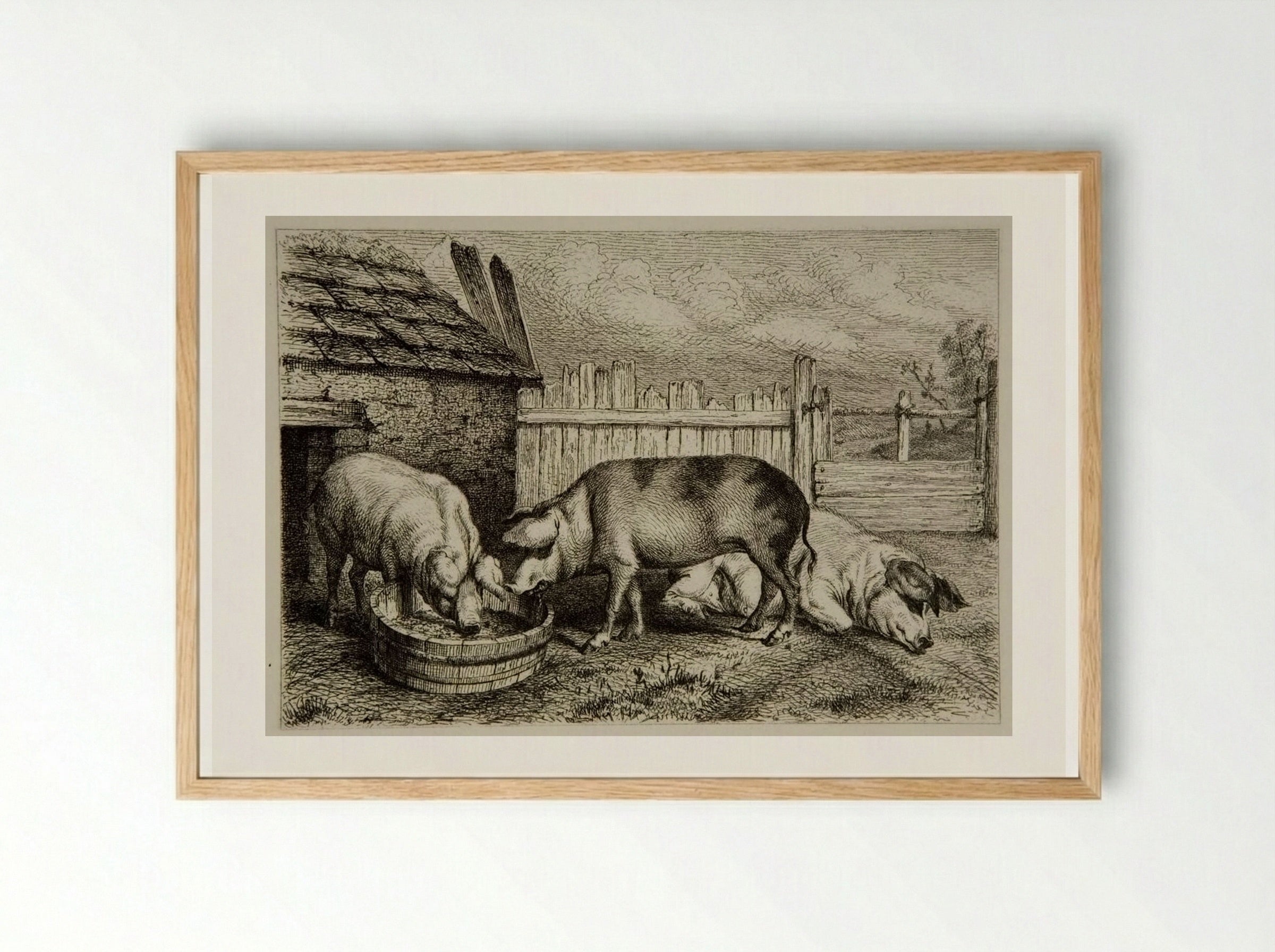 Three Pigs - Karl Bodmer - Framed Print Wood