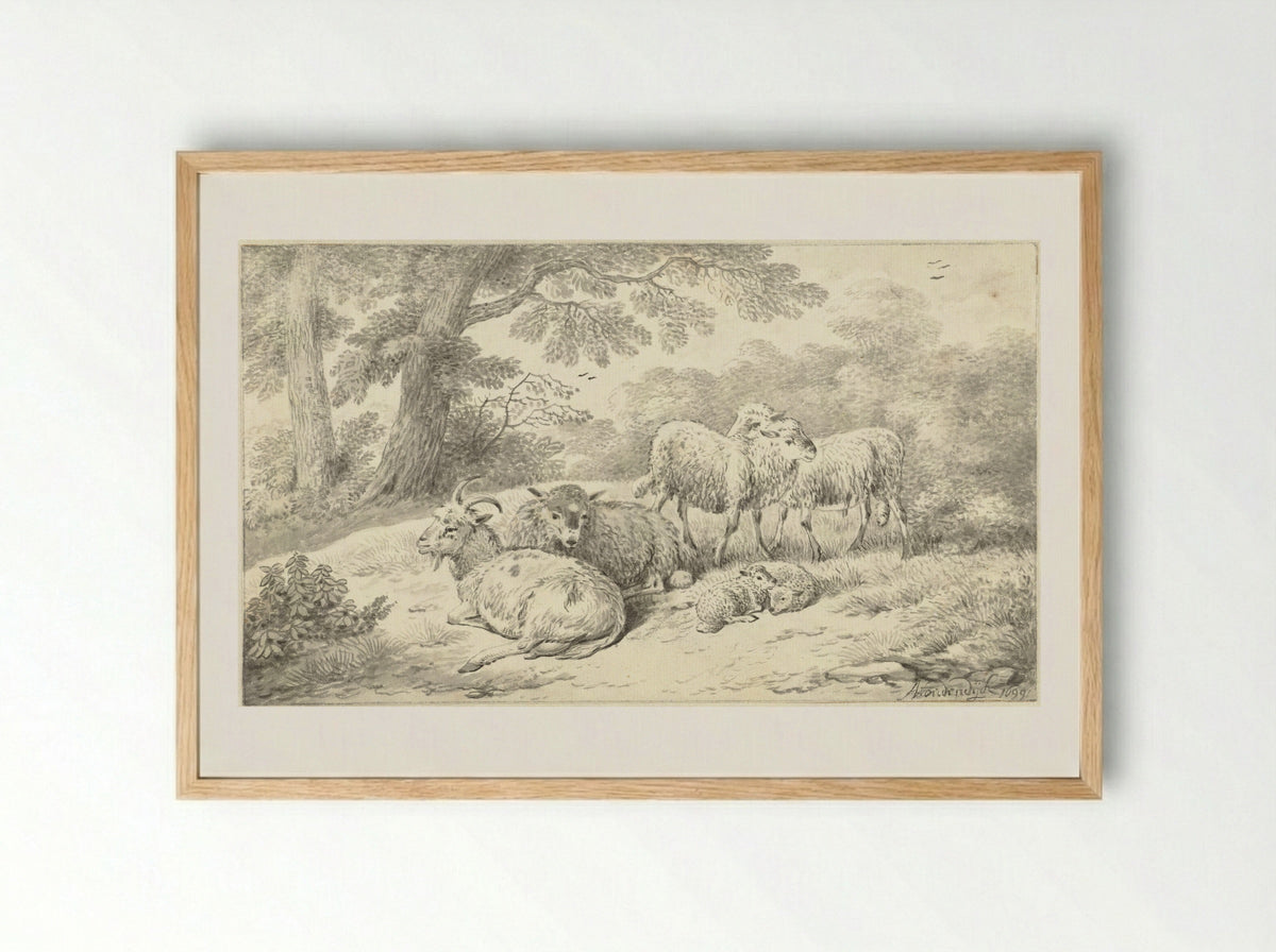 Three Sheep, Two Lambs and a Goat in a Wooded Setting - Adriaen Oudendijck - Framed Print Wood