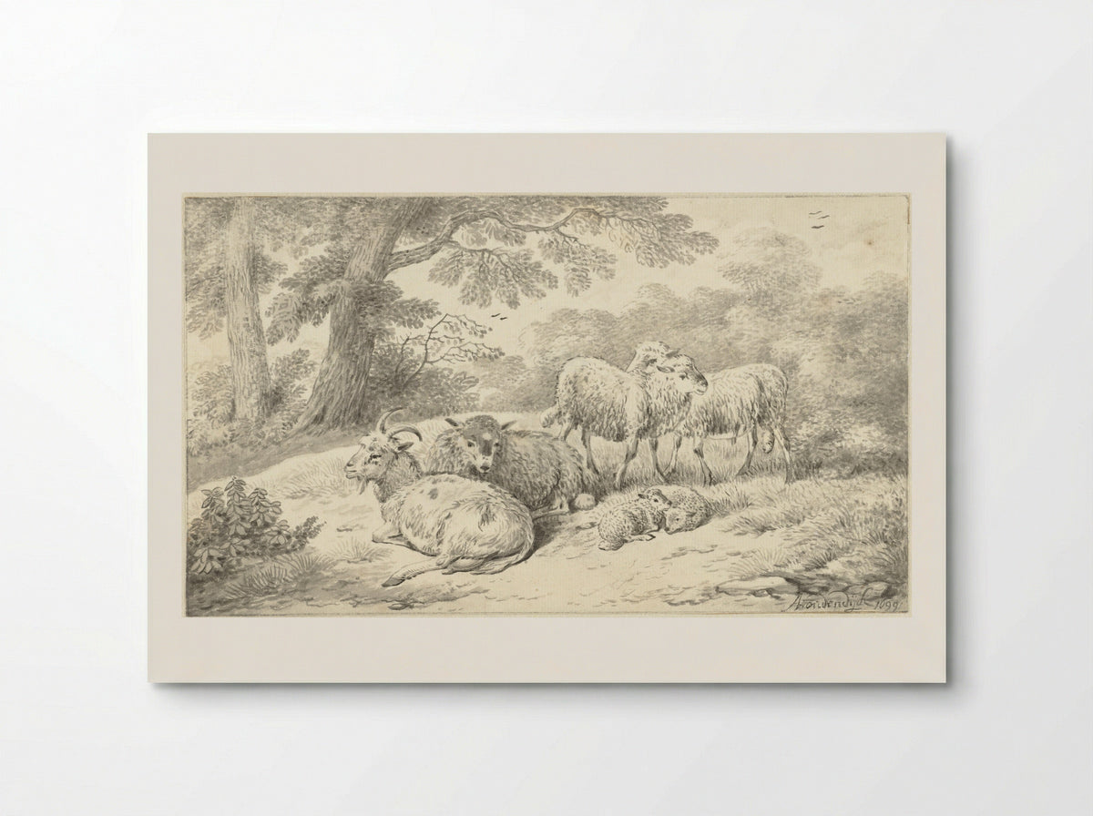 Three Sheep, Two Lambs and a Goat in a Wooded Setting - Adriaen Oudendijck - Poster