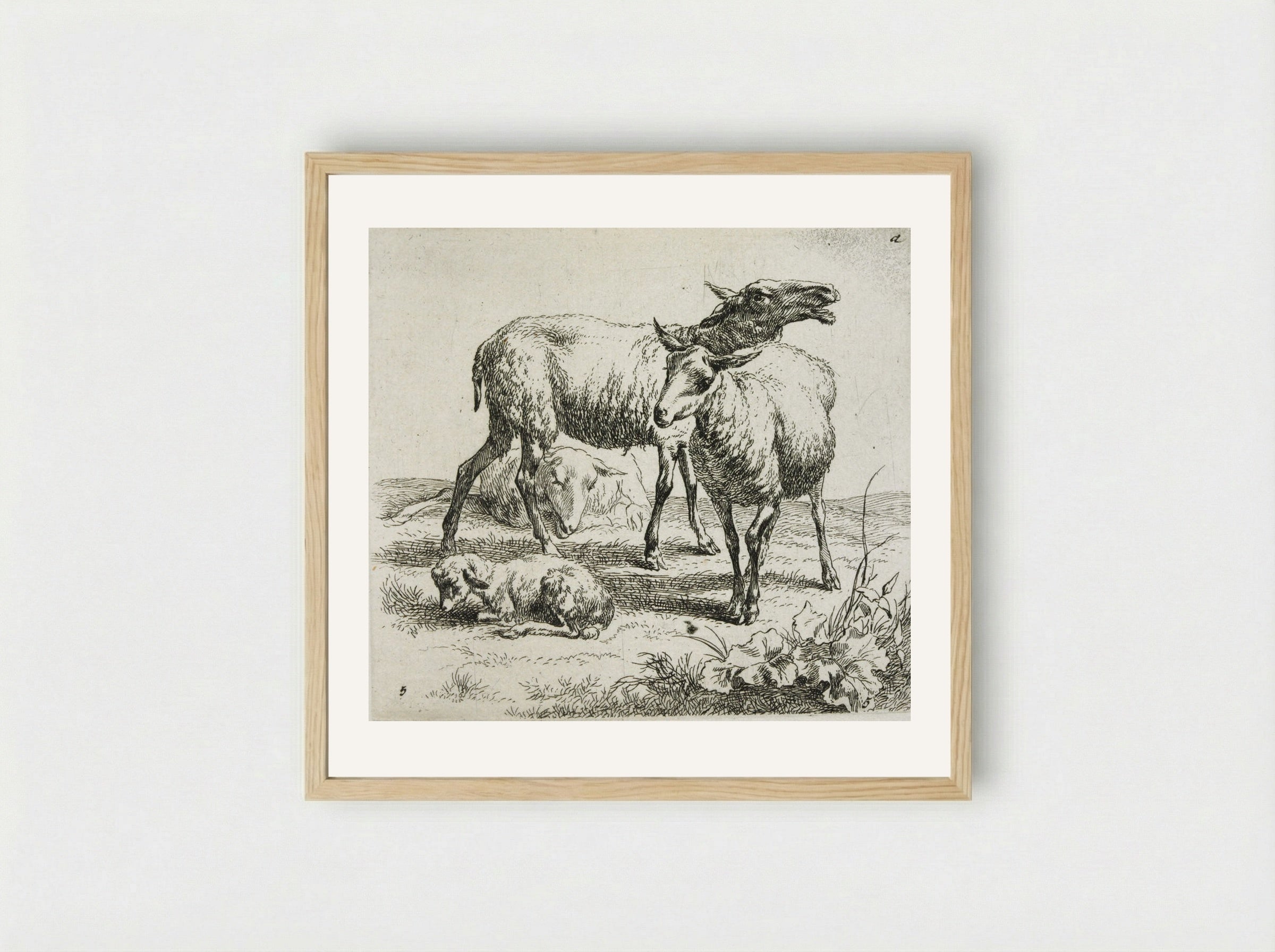 Three Sheep and a Kid - Nicolaes Berchem - Framed Print Wood