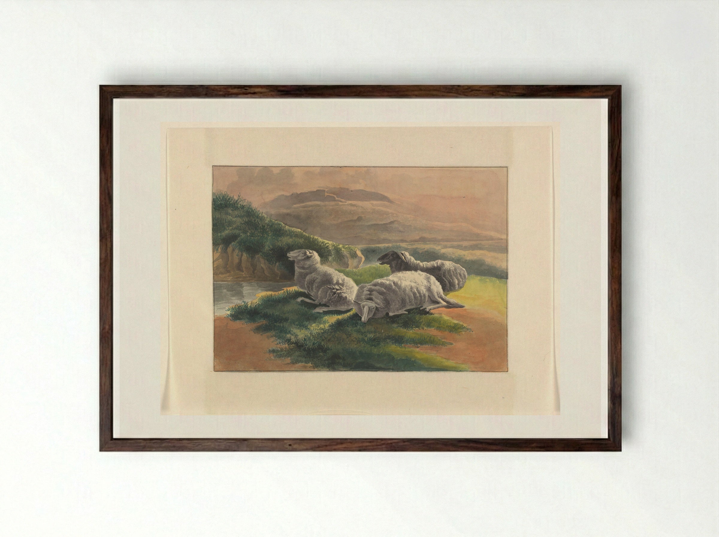 Three Sheep in a Landscape at Sunset - Johannes van Reijn - Framed Print Dark Wood