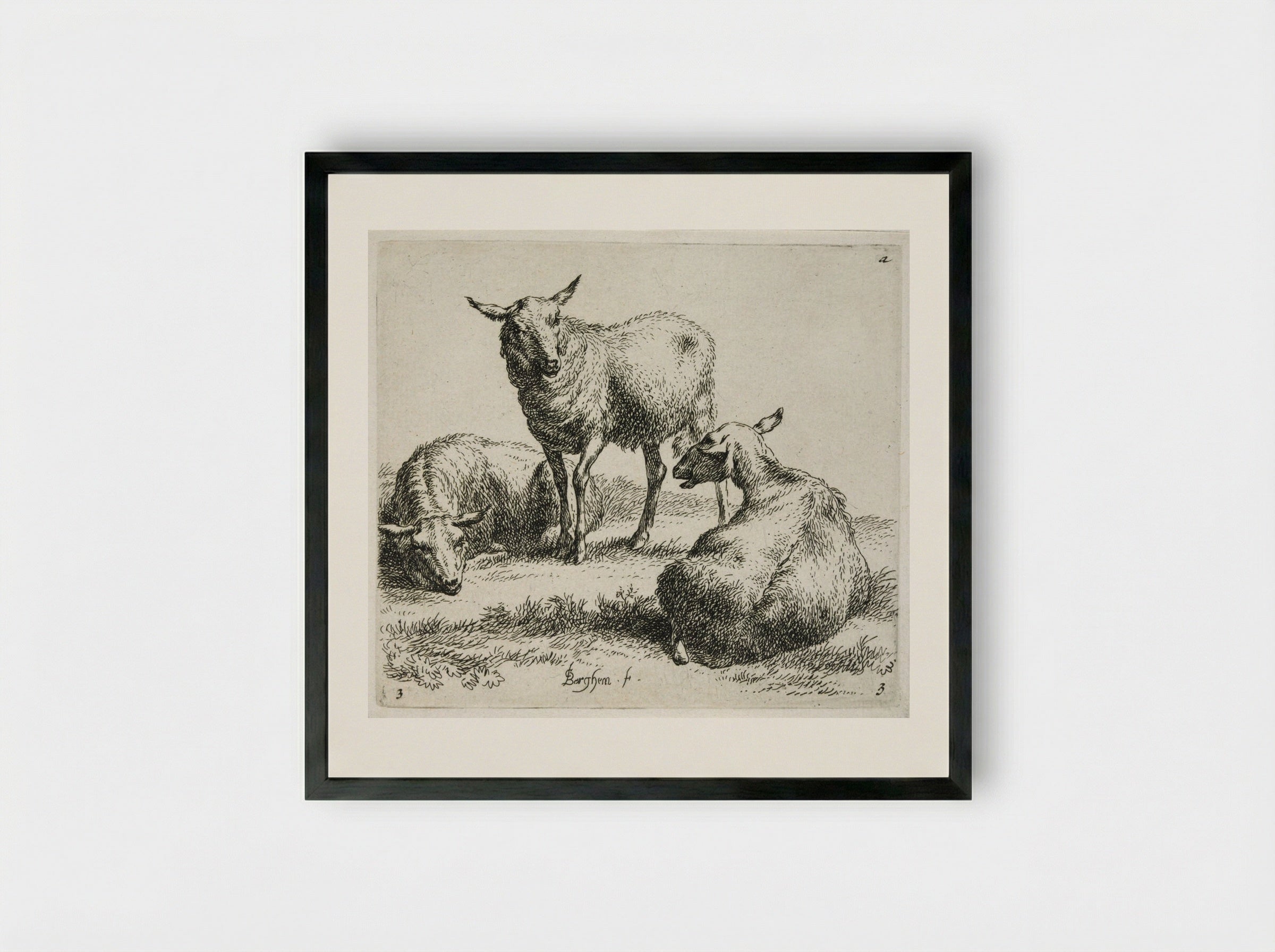 Three Sheep: One Standing between Two Lying Down - Nicolaes Berchem the Elder - Framed Print Black