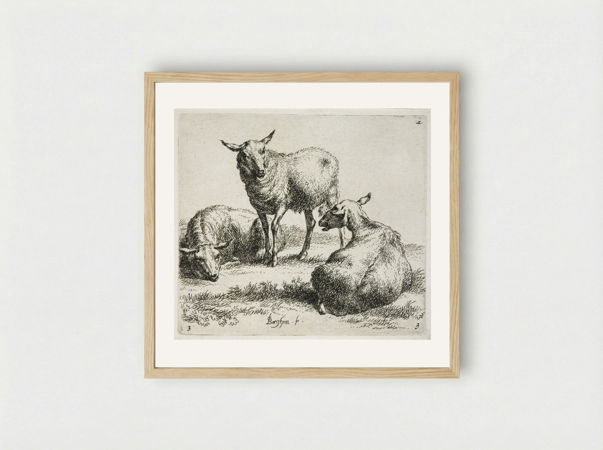 Three Sheep: One Standing between Two Lying Down - Nicolaes Berchem the Elder - Framed Print Wood