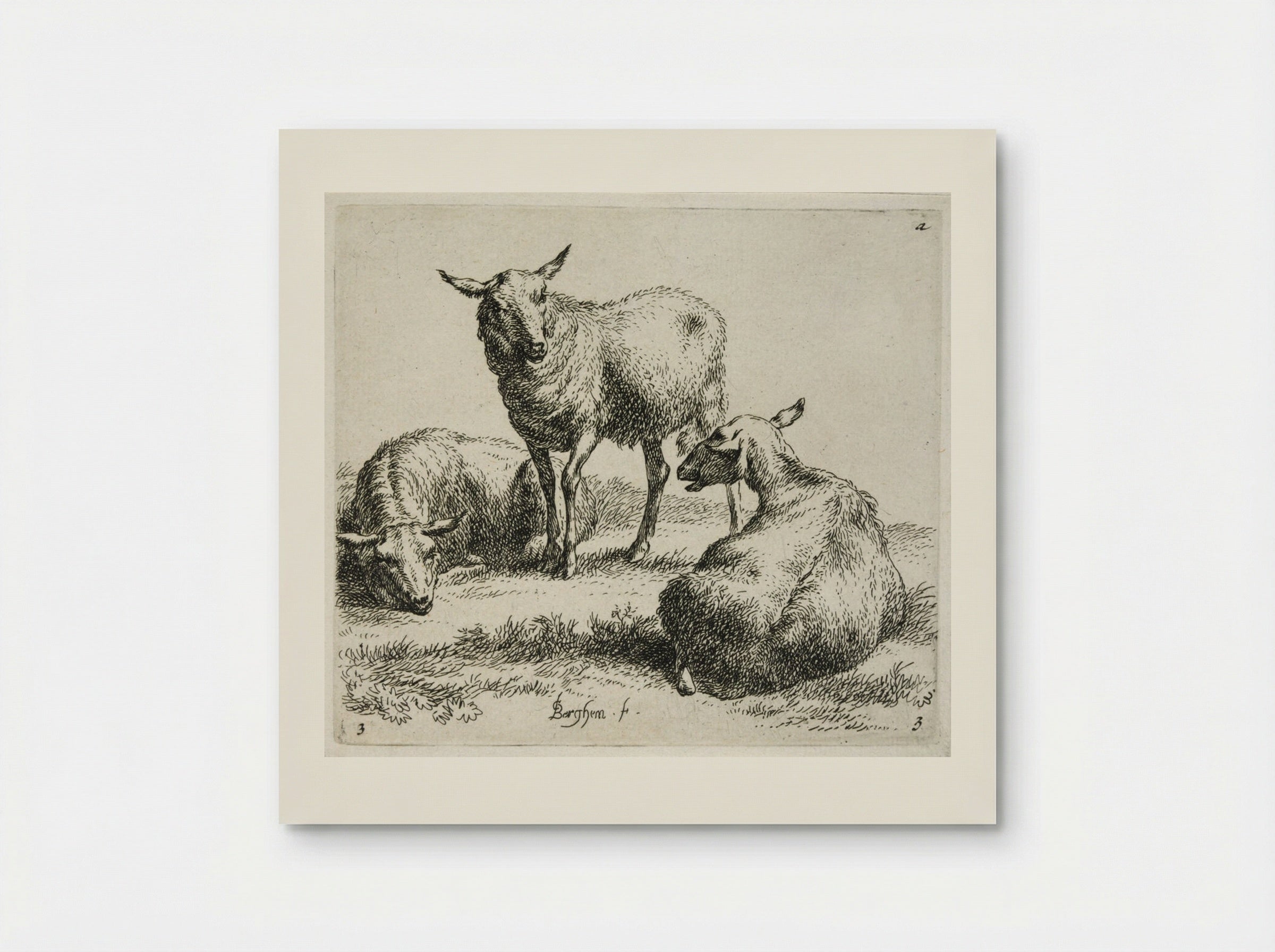 Three Sheep: One Standing between Two Lying Down - Nicolaes Berchem the Elder - Poster
