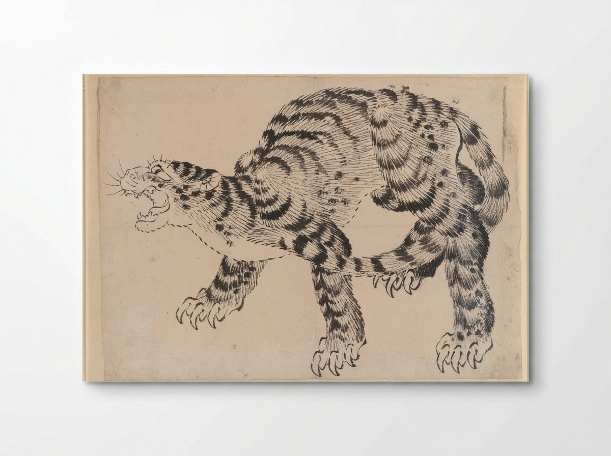 Tiger (Ink Drawing) - Hokusai School - Poster