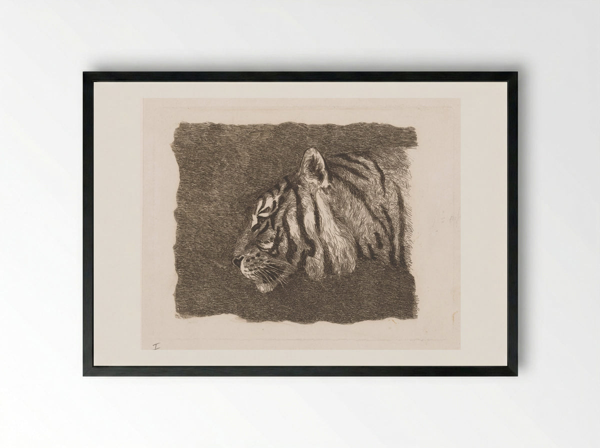 Tijgerkop (Tiger Head) - August Le Gras - Framed Print Black