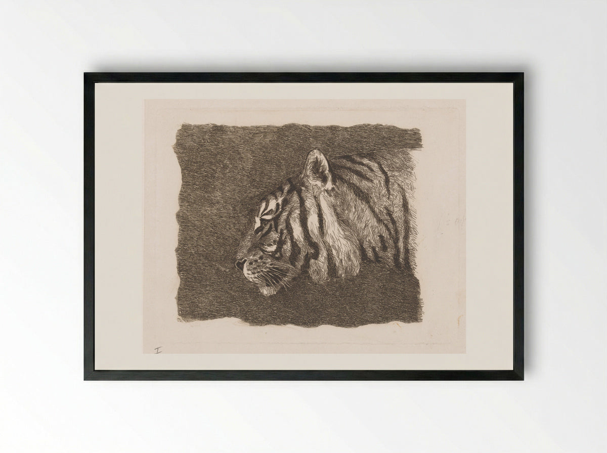 Tijgerkop (Tiger Head) - August Le Gras - Framed Print Black
