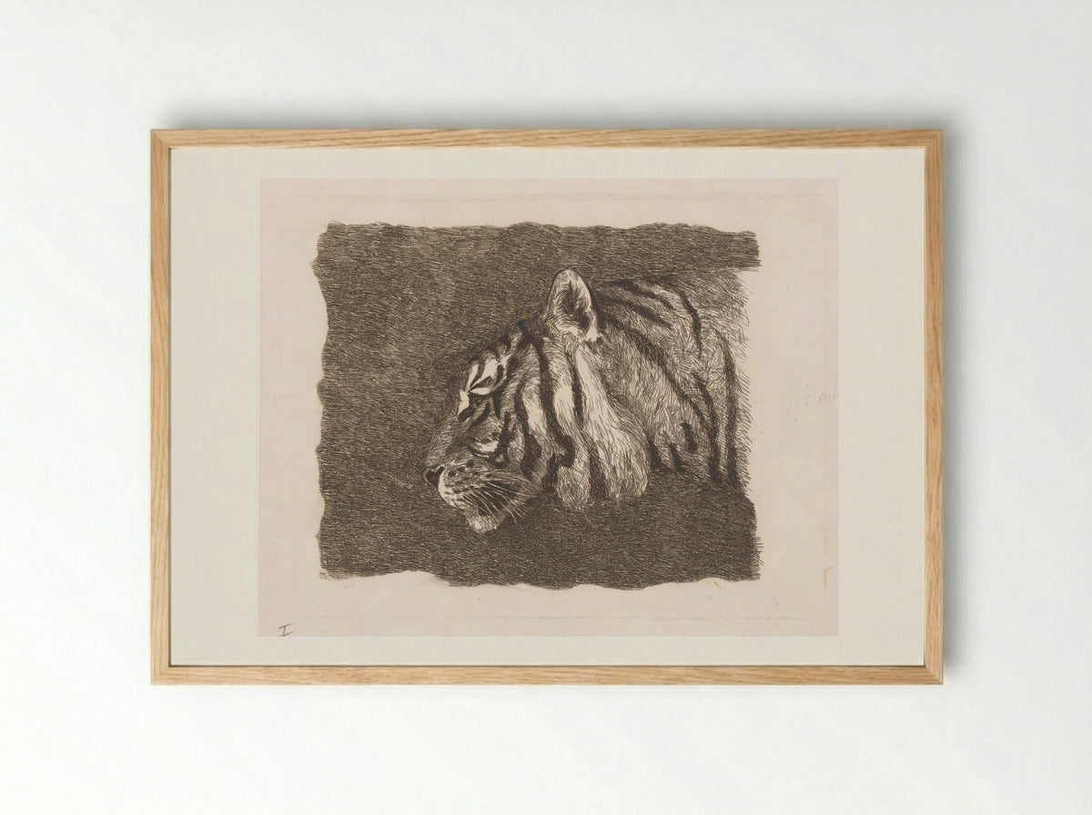 Tijgerkop (Tiger Head) - August Le Gras - Framed Print Wood