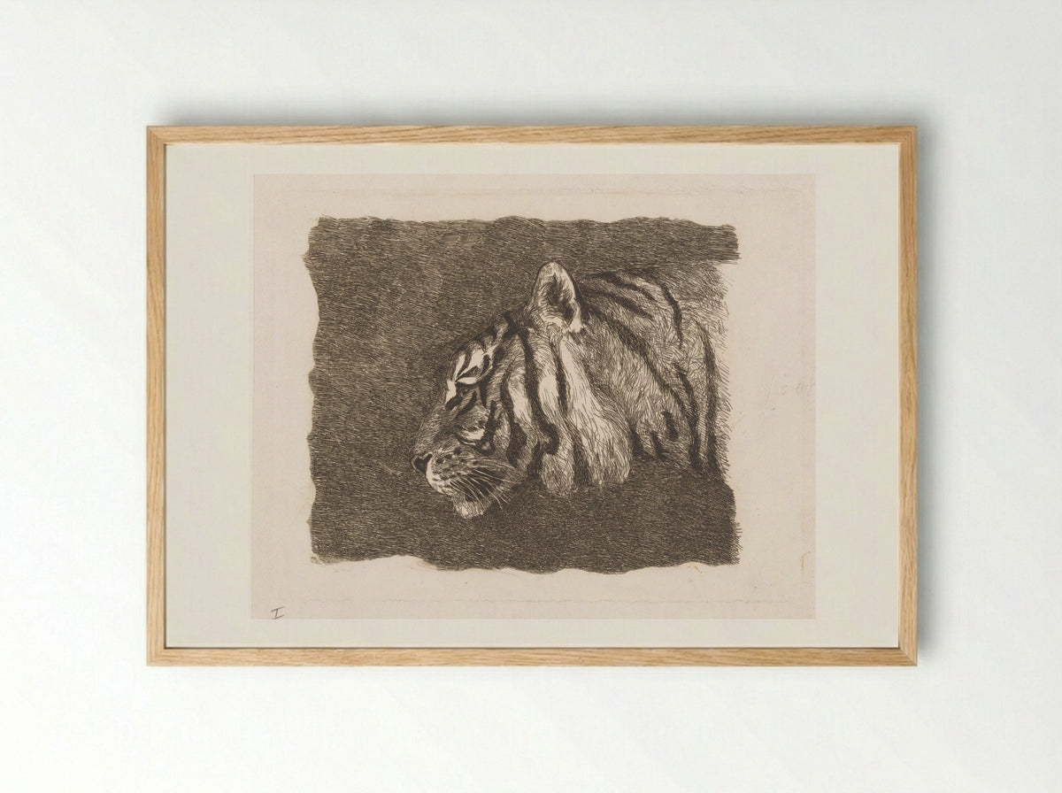Tijgerkop (Tiger Head) - August Le Gras - Framed Print Wood