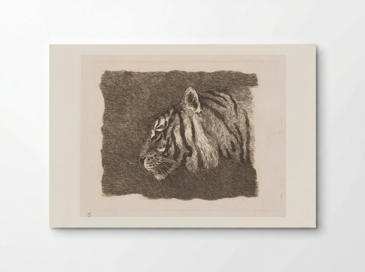 Tijgerkop (Tiger Head) - August Le Gras - Poster