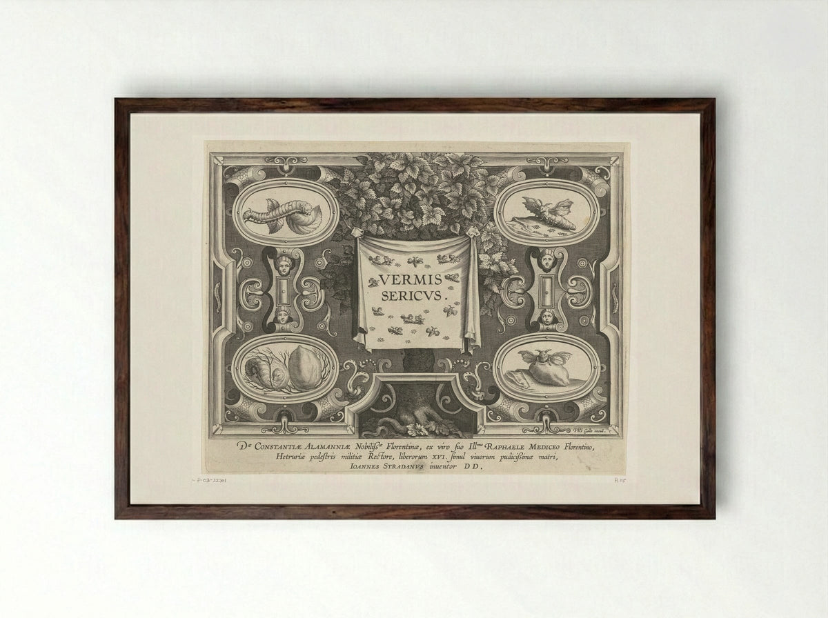 Title Page for Vermis Sericus - Karel van Mallery - Framed Print Dark Wood