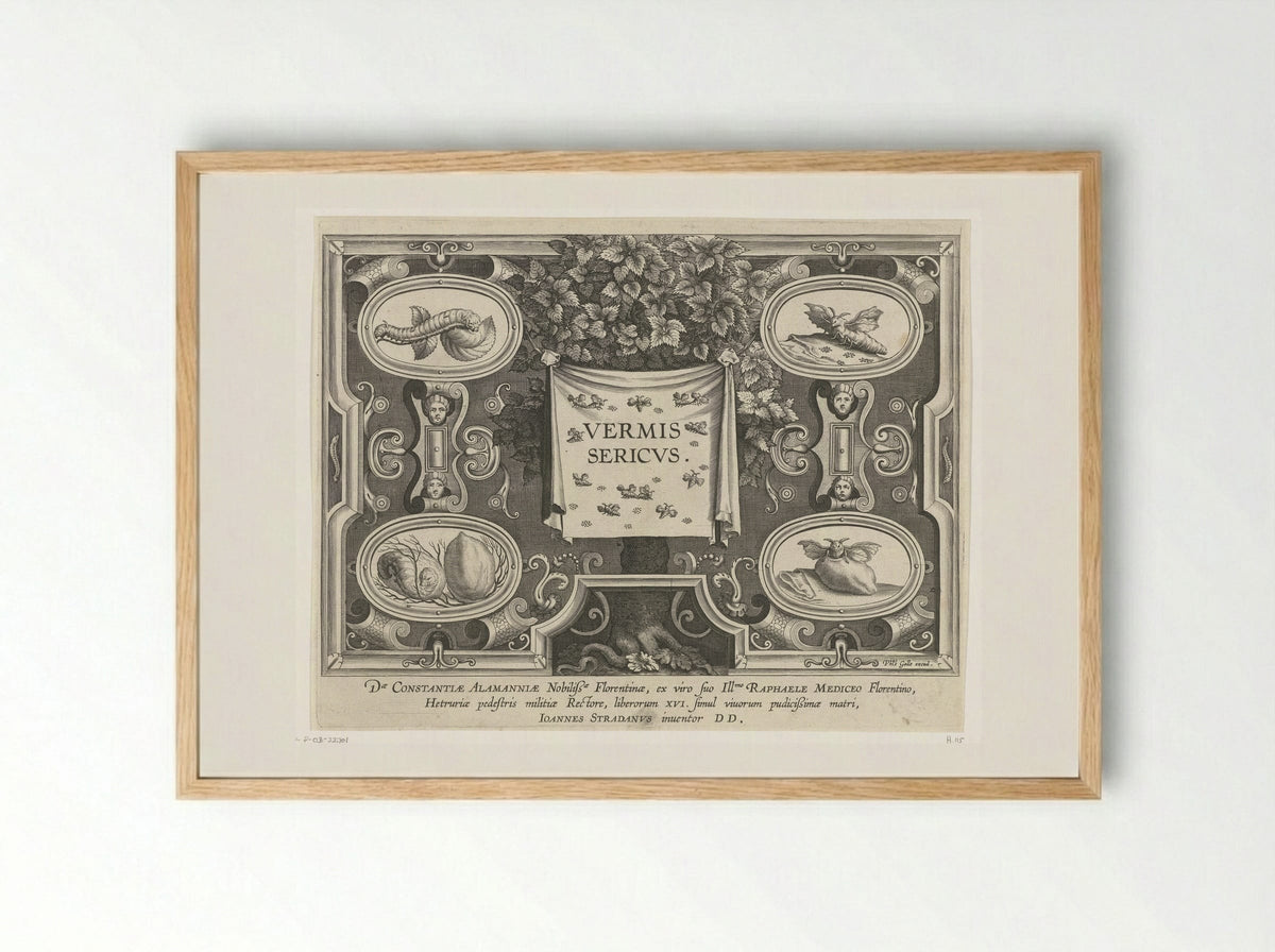Title Page for Vermis Sericus - Karel van Mallery - Framed Print Wood