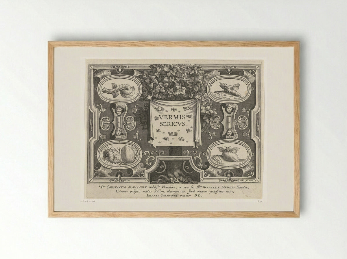 Title Page for Vermis Sericus - Karel van Mallery - Framed Print Wood