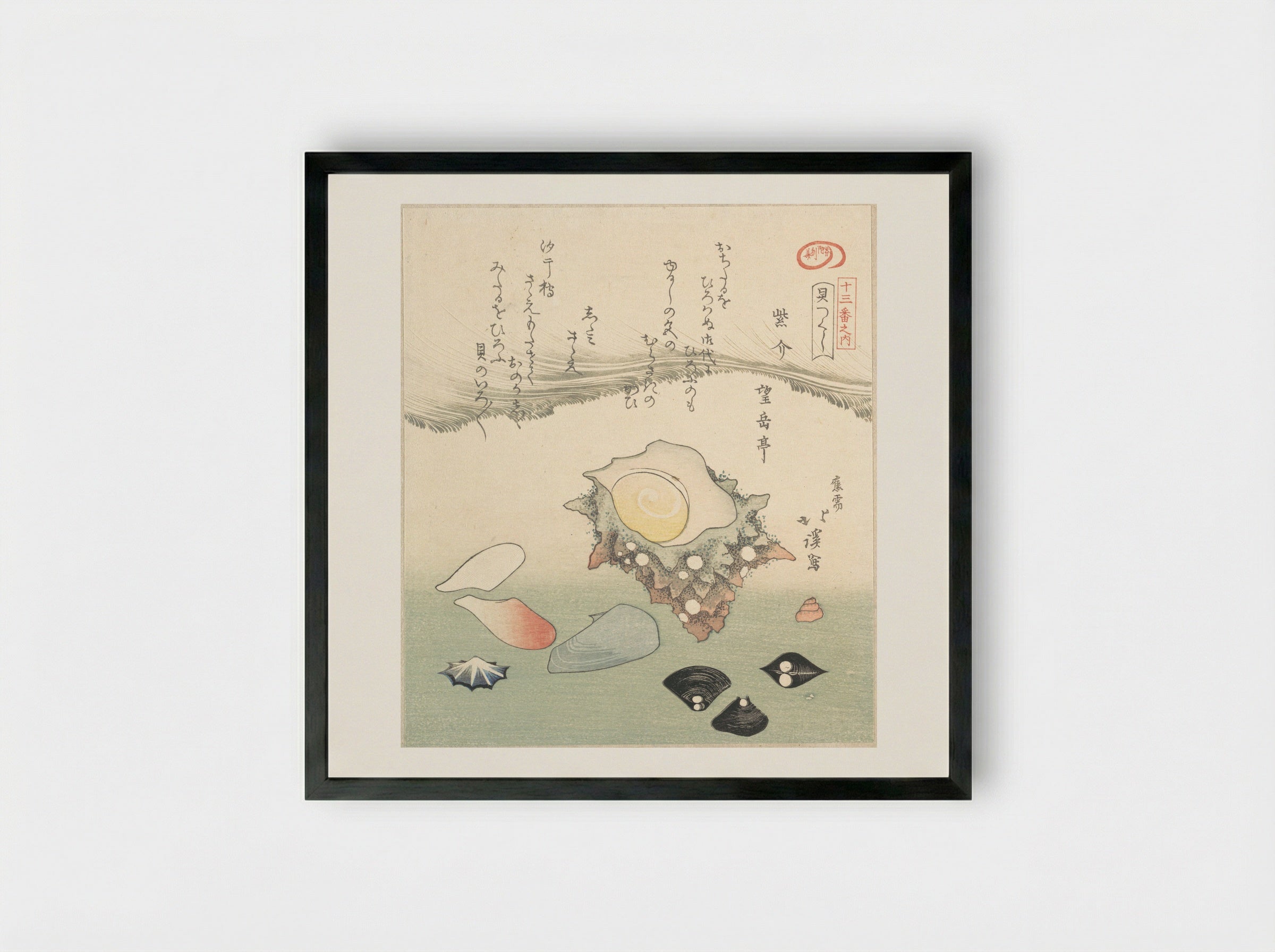 Top-Shell and Various Shells - Totoya Hokkei - Framed Print Black