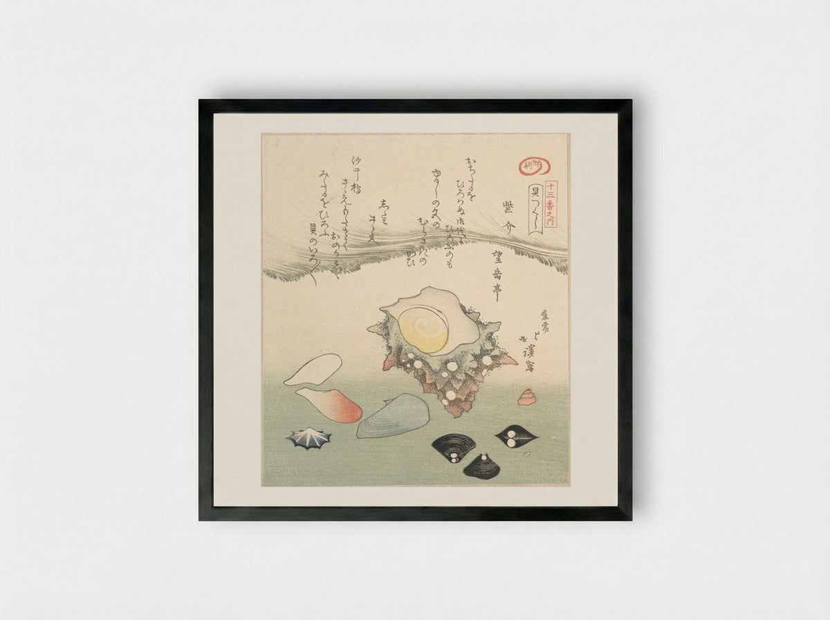 Top-Shell and Various Shells - Totoya Hokkei - Framed Print Black