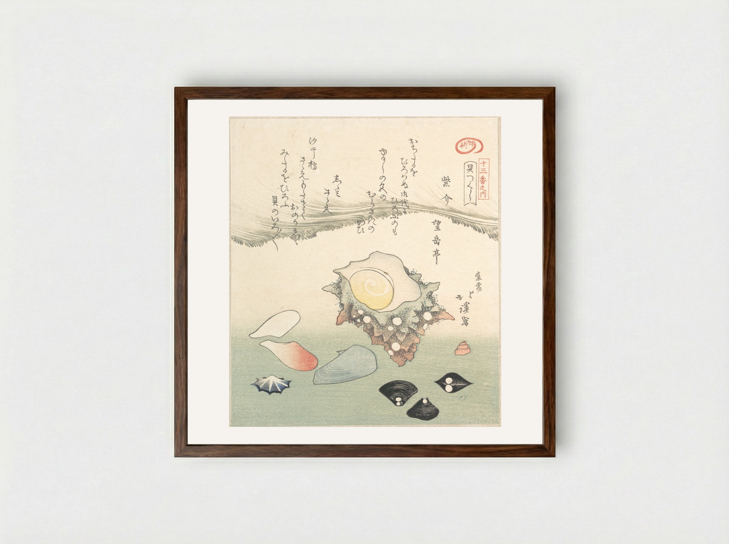 Top-Shell and Various Shells - Totoya Hokkei - Framed Print Dark Wood