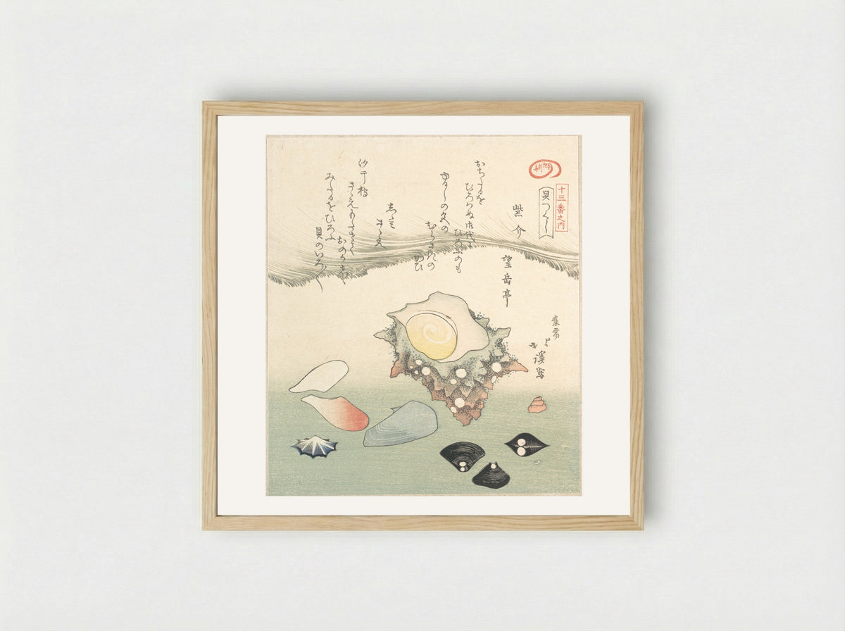 Top-Shell and Various Shells - Totoya Hokkei - Framed Print Wood