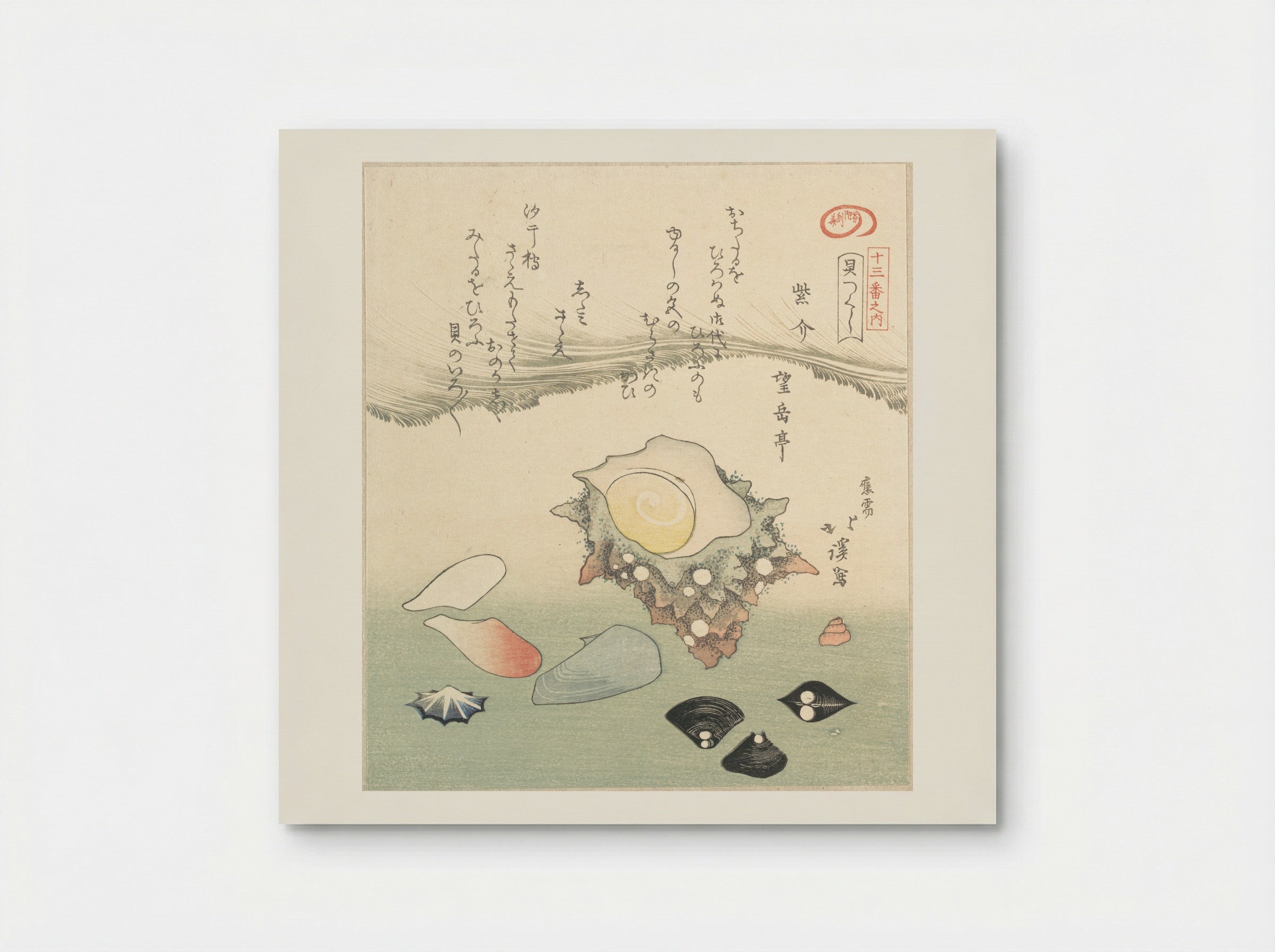 Top-Shell and Various Shells - Totoya Hokkei - Poster