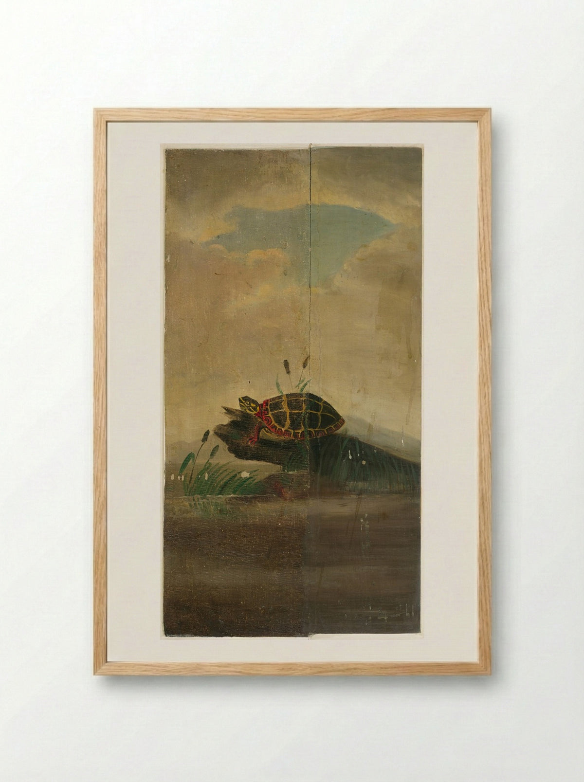 Tortoise Resting on a Log - William Stanley Haseltine - Framed Print Wood