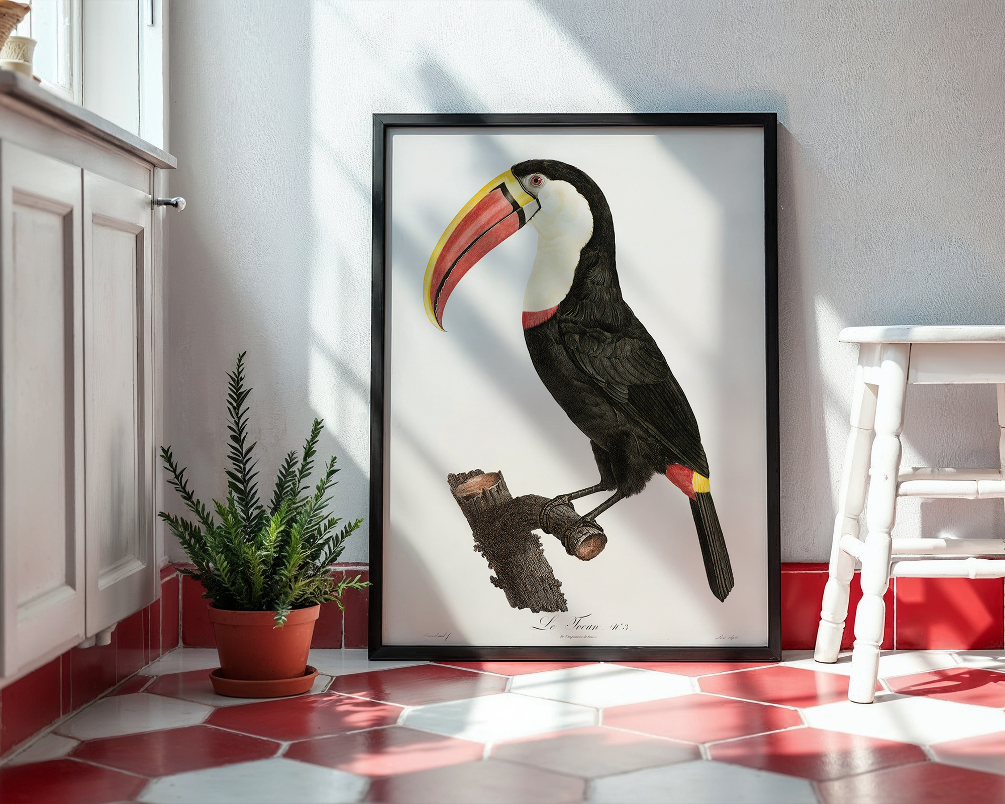 Toucan-from-Histoire-Naturelle-des-Oiseaux-de-Paradis-et-Des-Rolliers-(1806)-by-Jacques-Barraband_final mockup