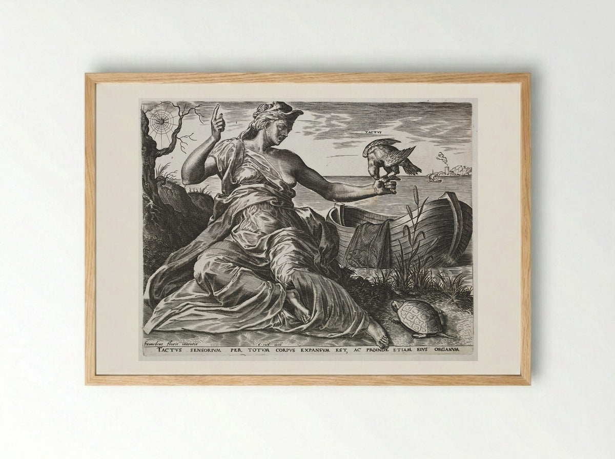 Touch (Tactus) - Cornelis Cort - Framed Print Wood