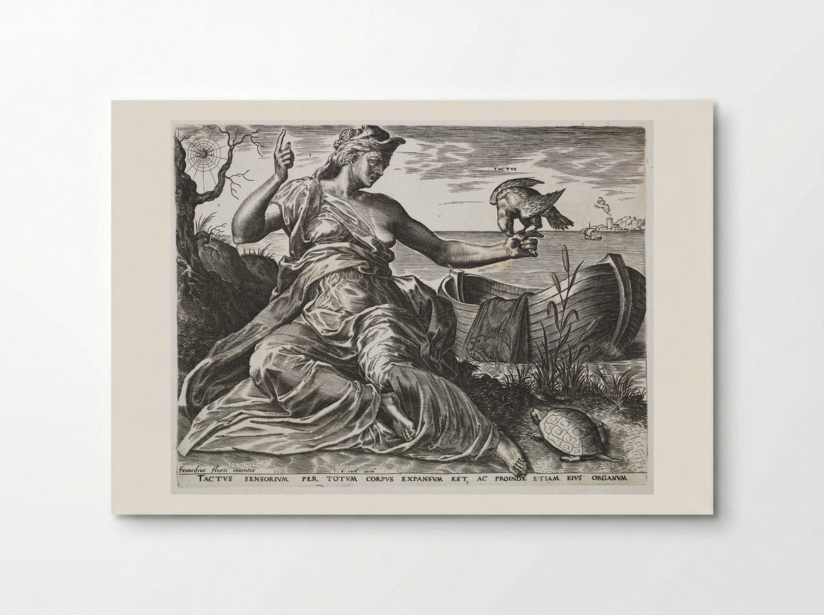 Touch (Tactus) - Cornelis Cort - Poster