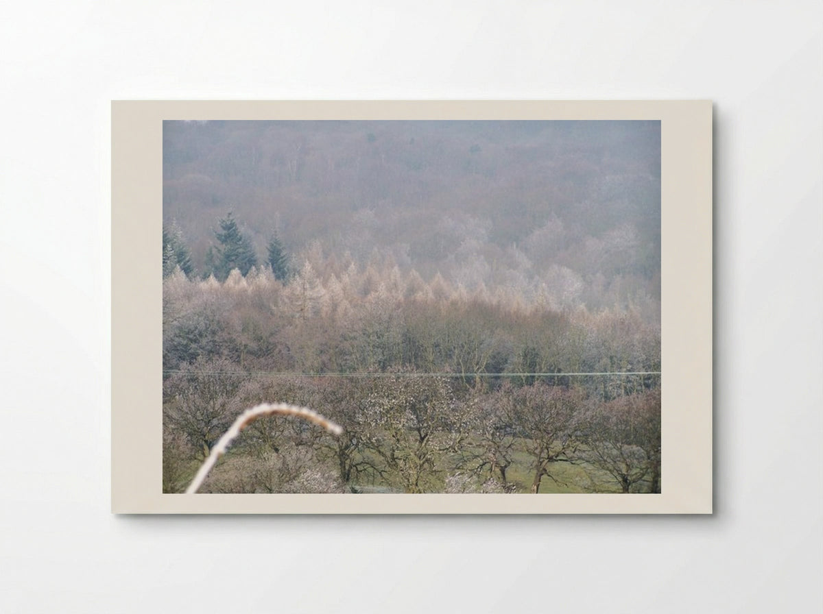 Tree, Tree - Terry Frost - Poster