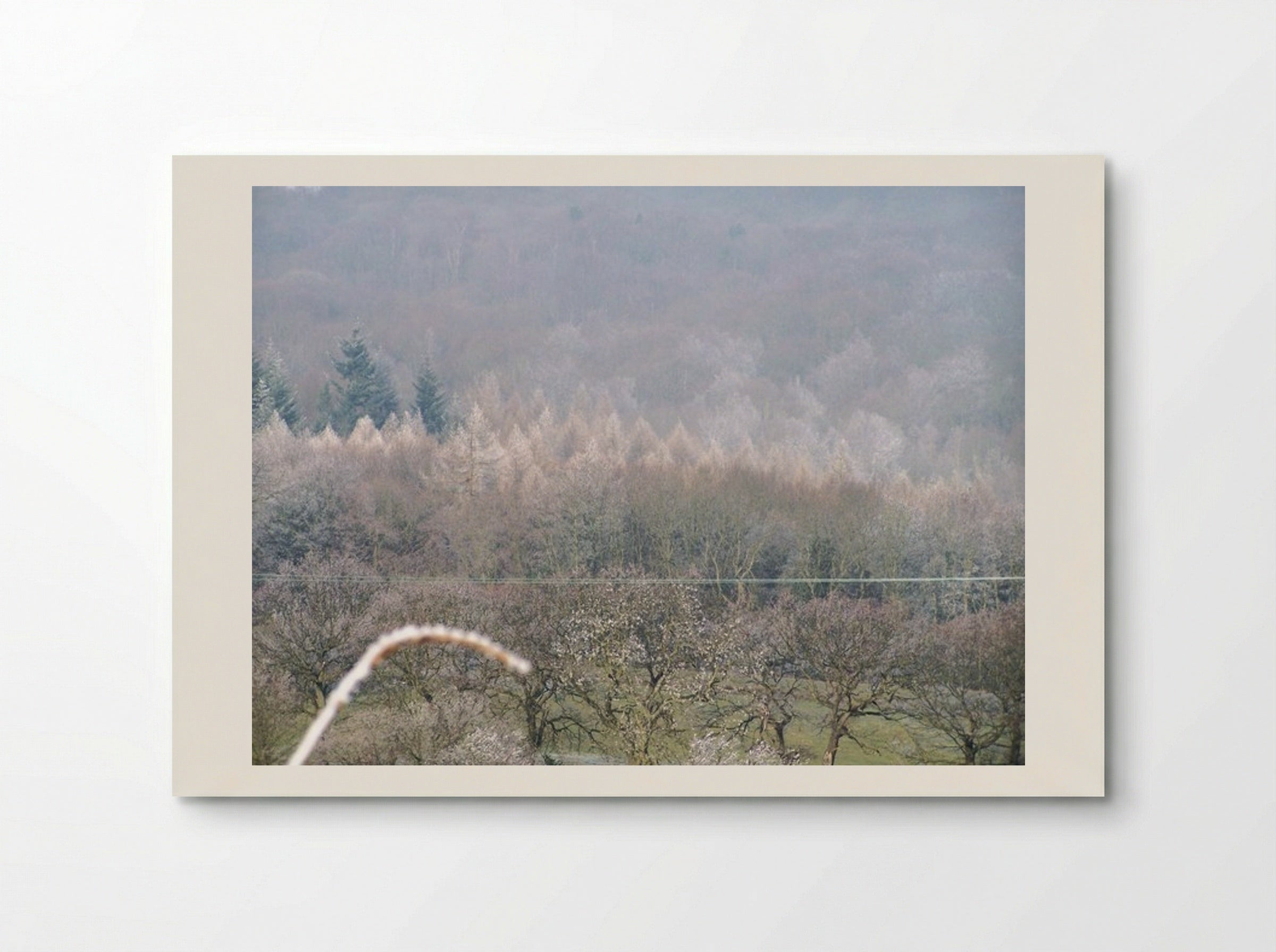 Tree, Tree - Terry Frost - Poster